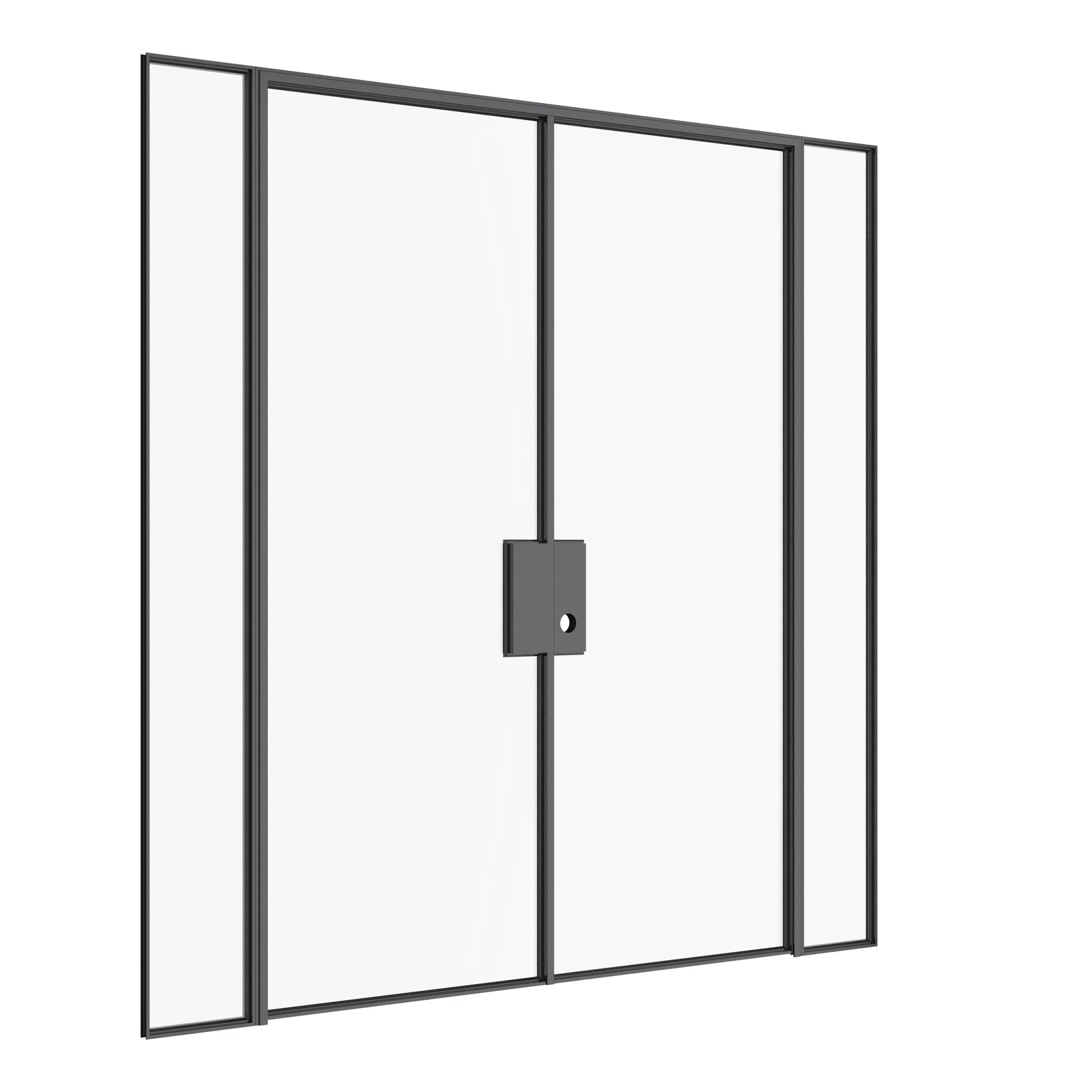 Solid steel double flat door with sidelights and minimalist design.