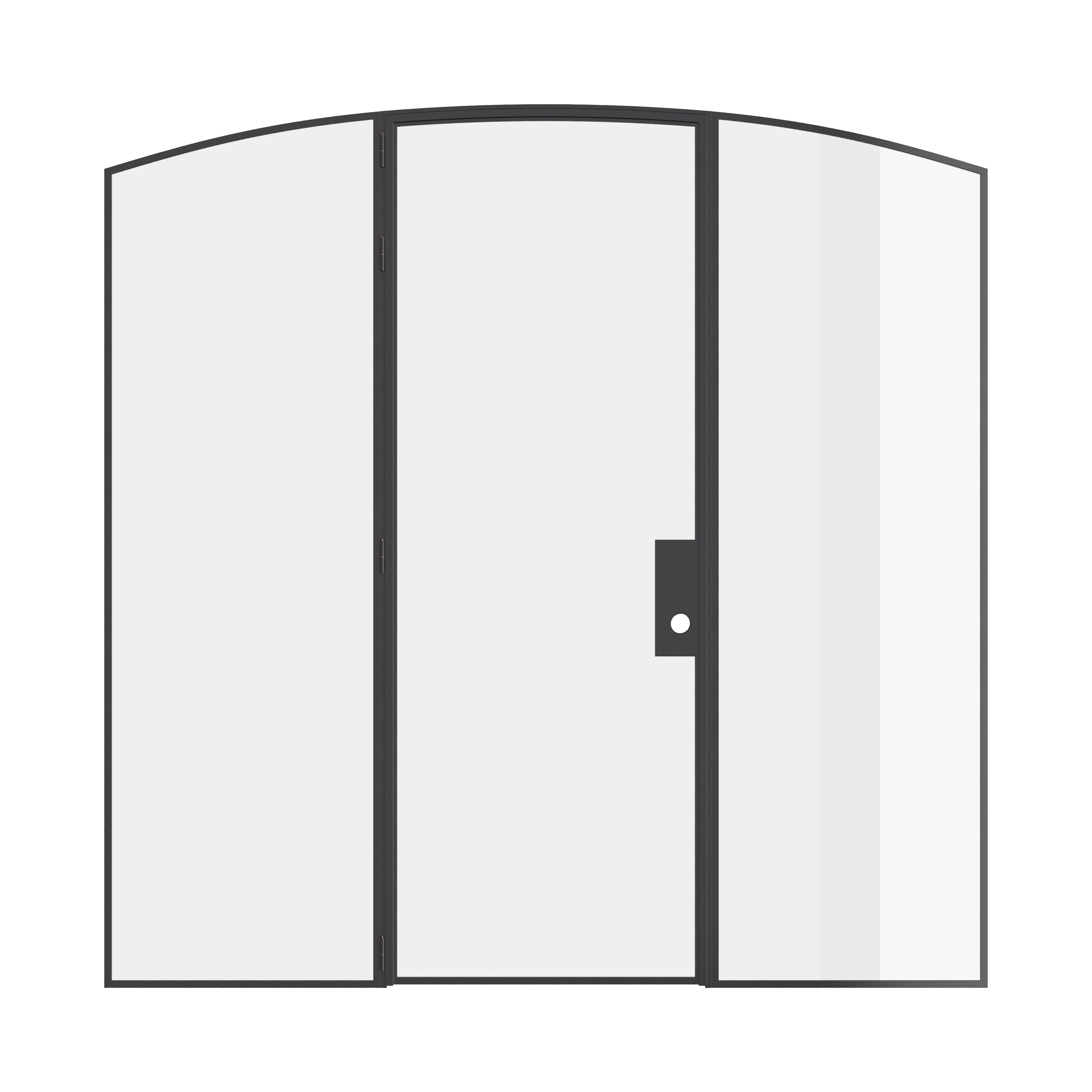 Single arch steel door with side windows, prehung modular steel and slim sightlines