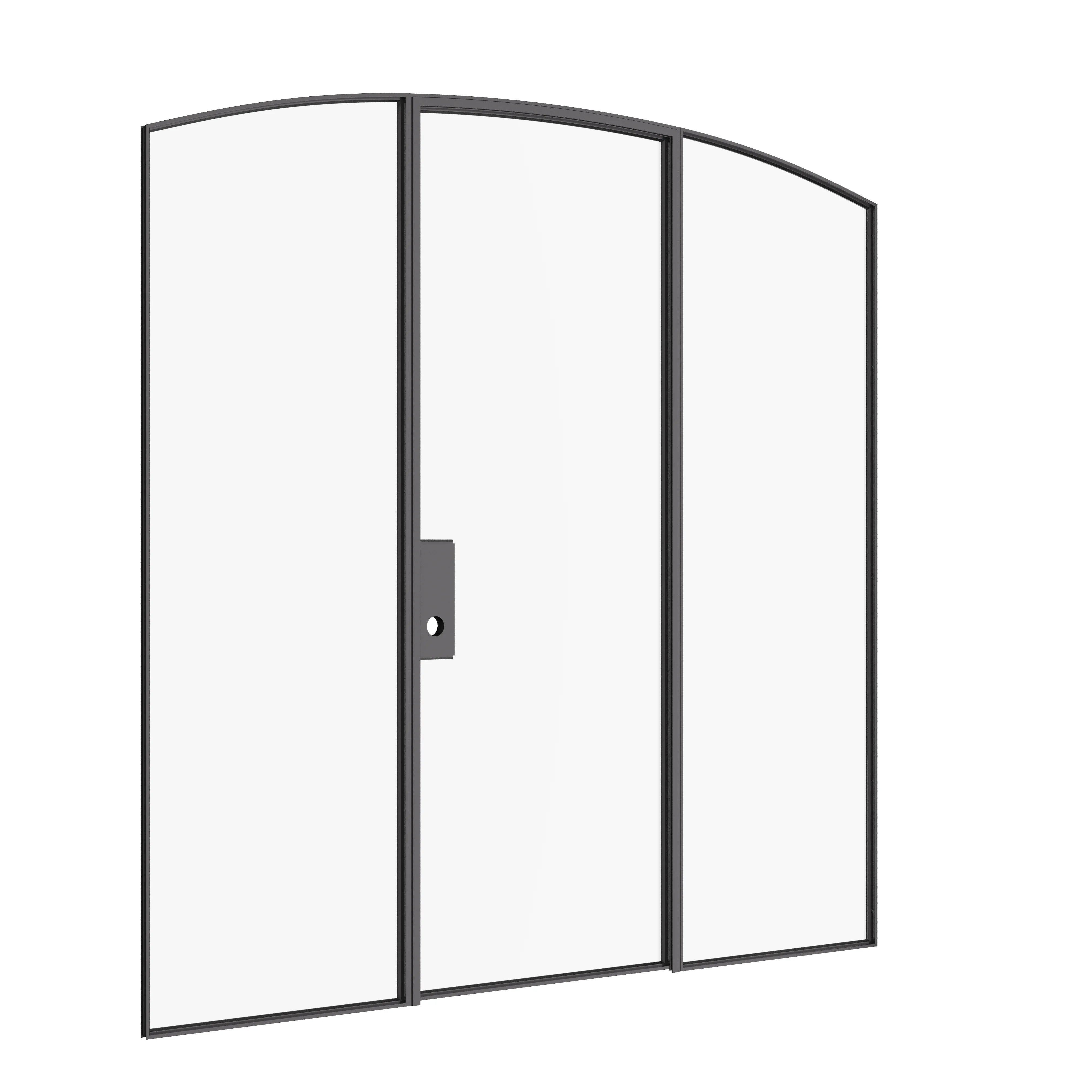 Narrow-profile single arch steel door with sidelights and minimalist proportions.