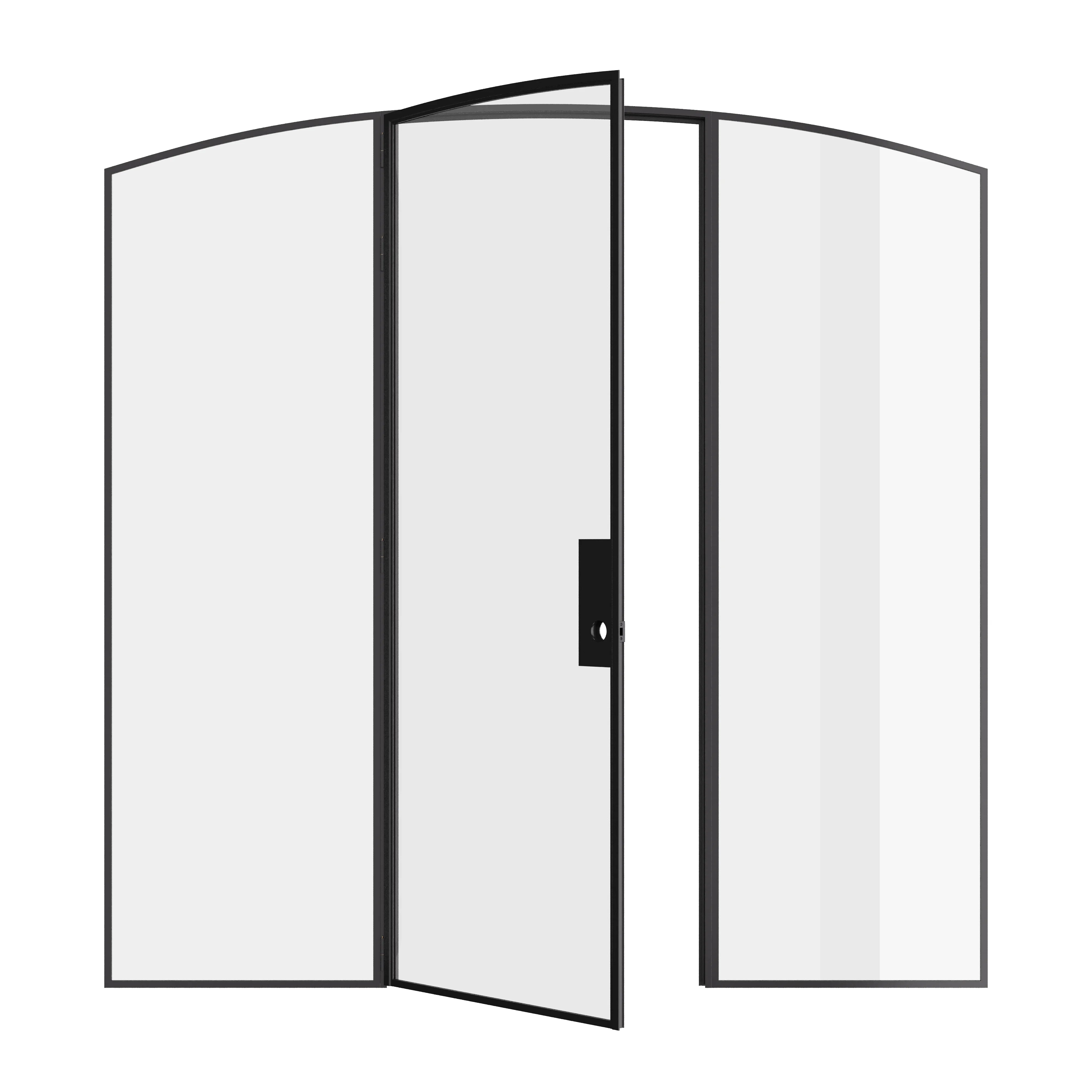 Solid steel single arch door with flanking glass panels and clean geometry.
