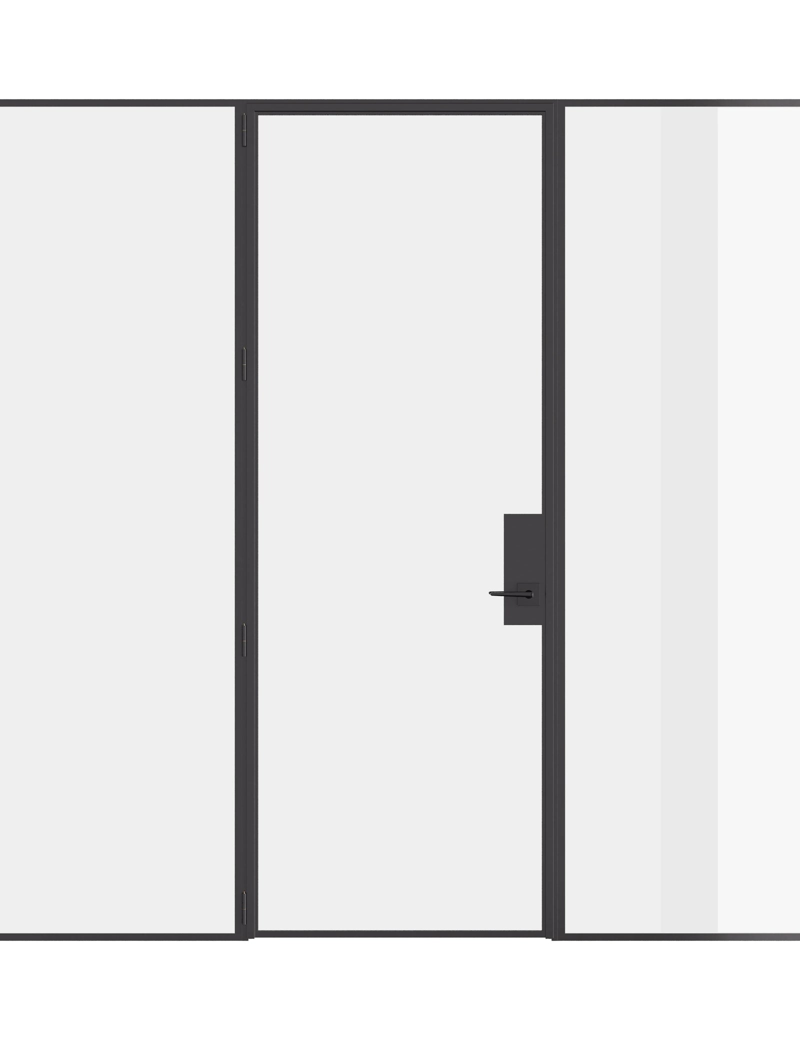 Pre-hung single flat steel door with sidelights and modular construction.