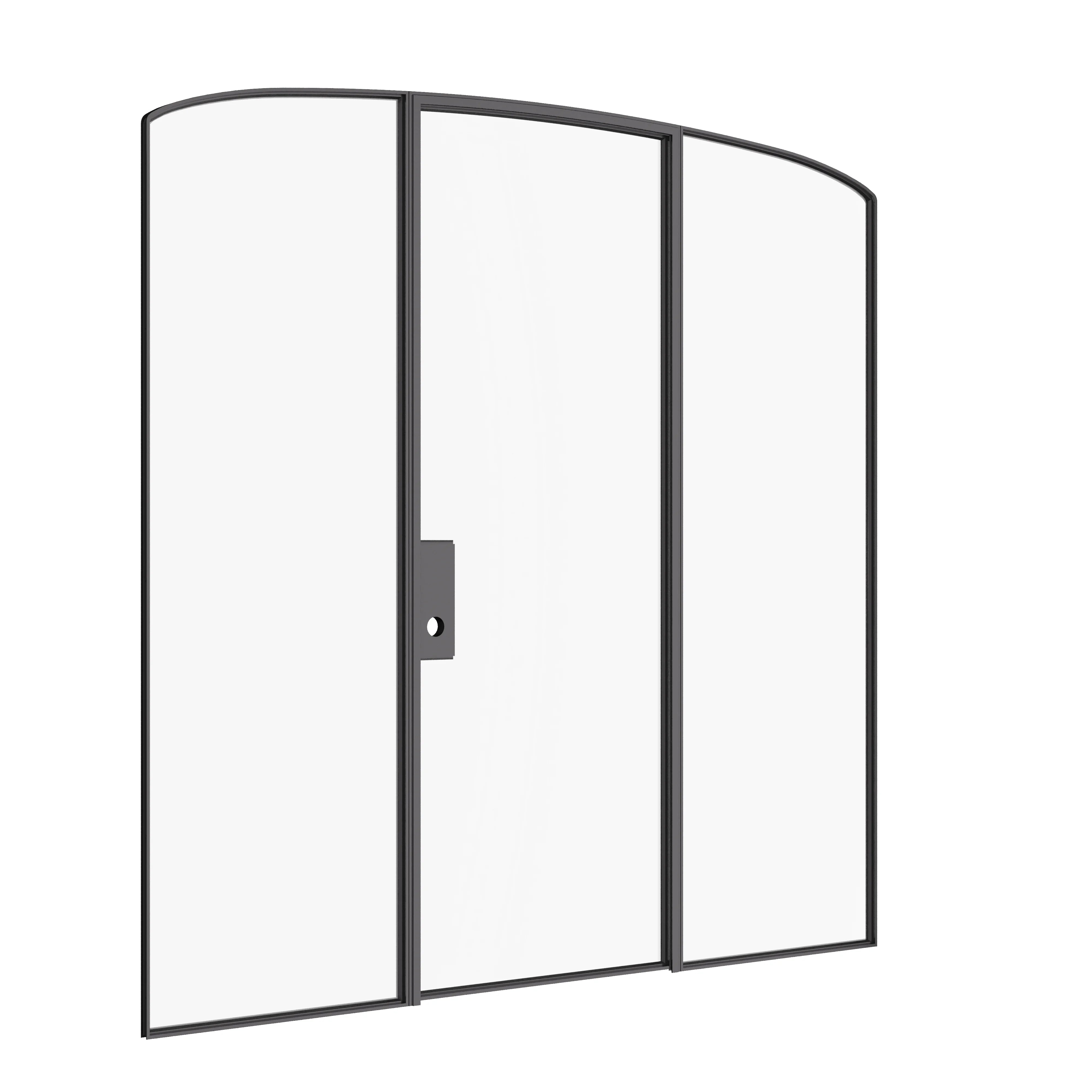 Architectural single door with curved lite and flanking sidelights.