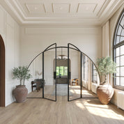 Wide-span double arch steel door with side windows and narrow architectural framing.