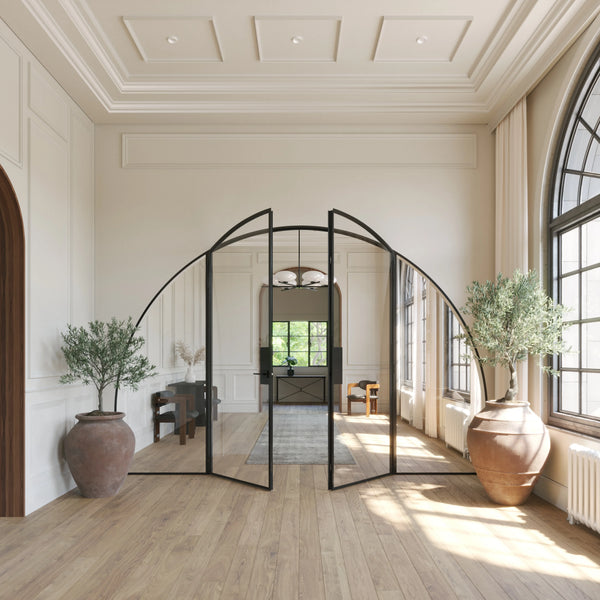 Wide-span double arch steel door with side windows and narrow architectural framing.
