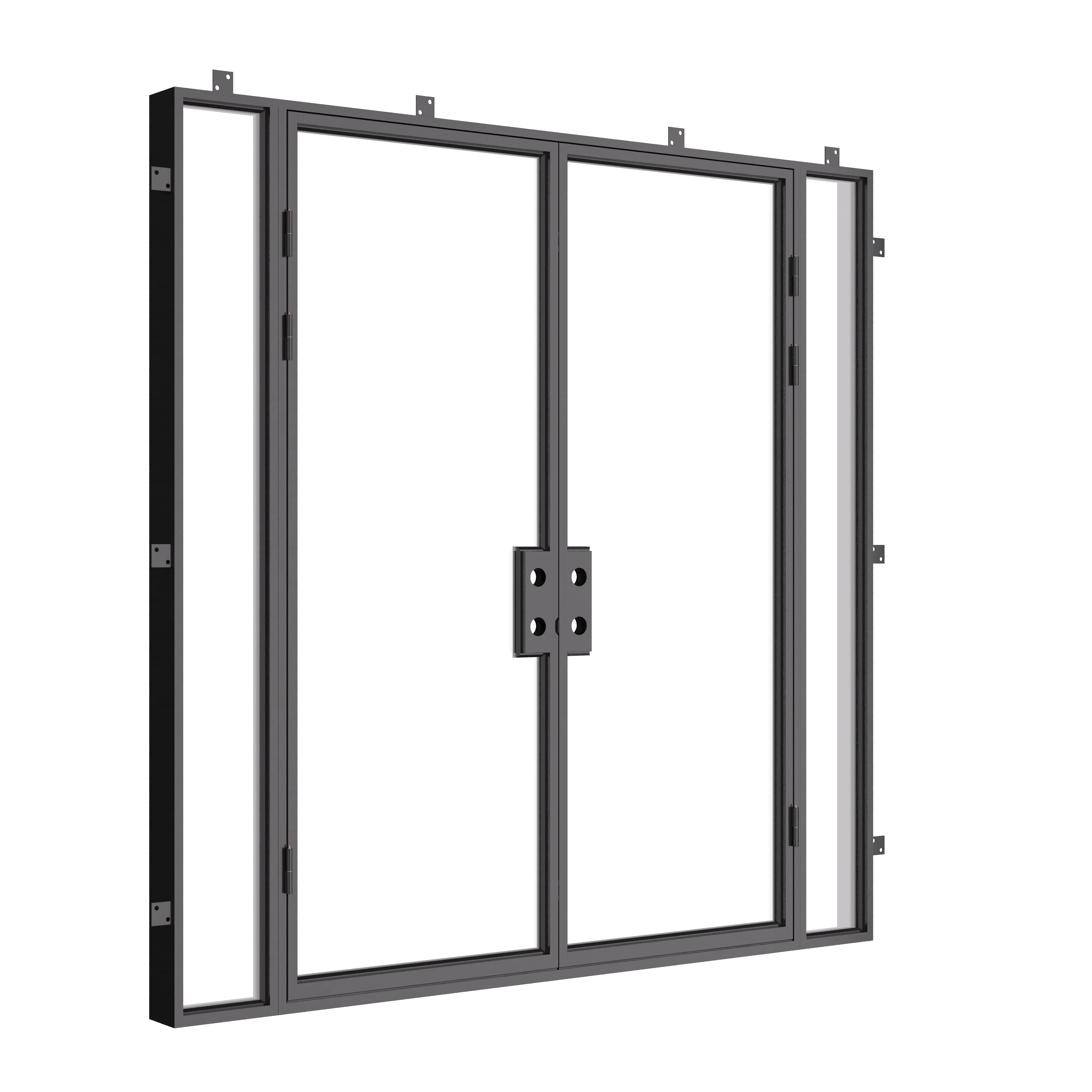 Architectural double flat steel doors with sidelights.