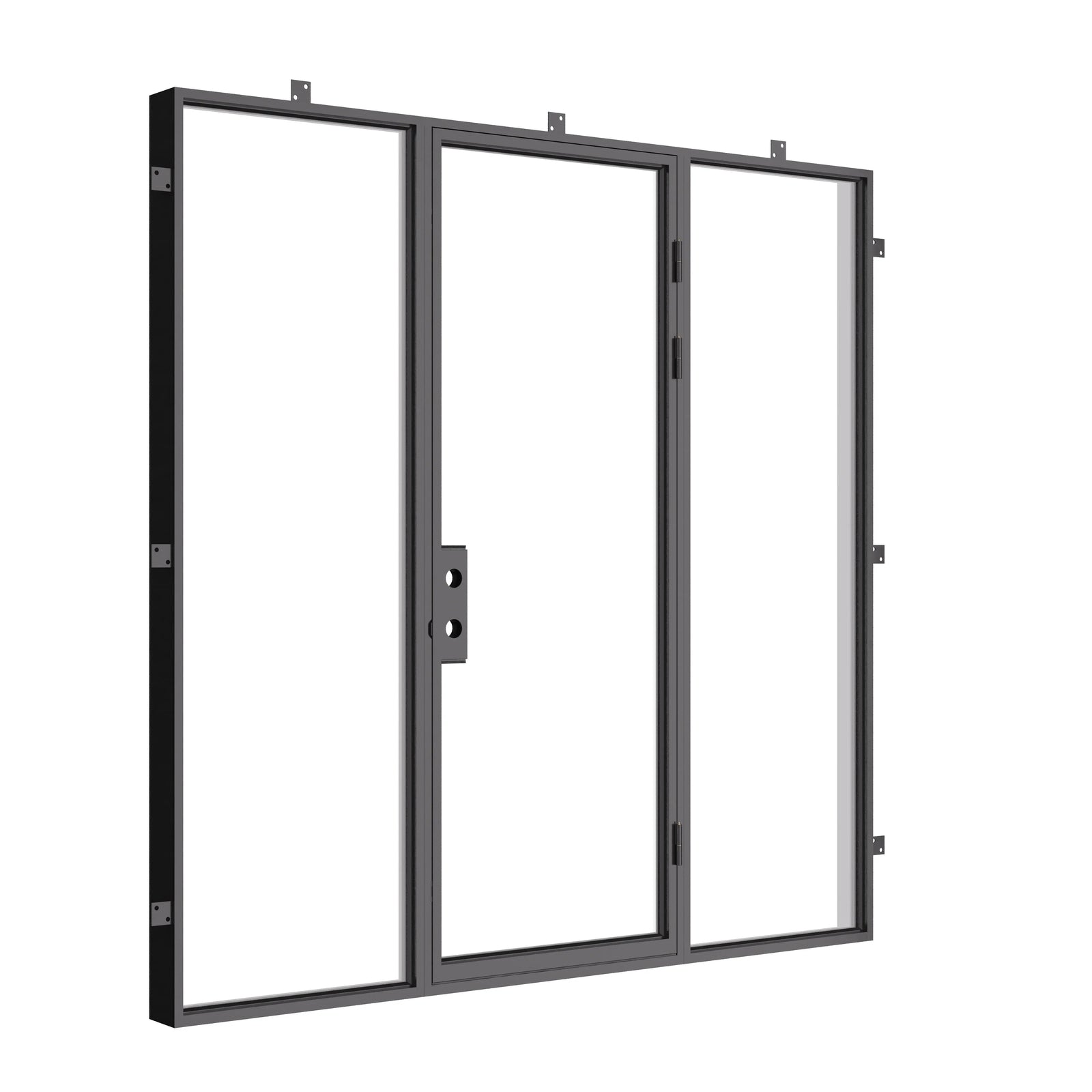 Contemporary flat steel door with side windows and divided lites