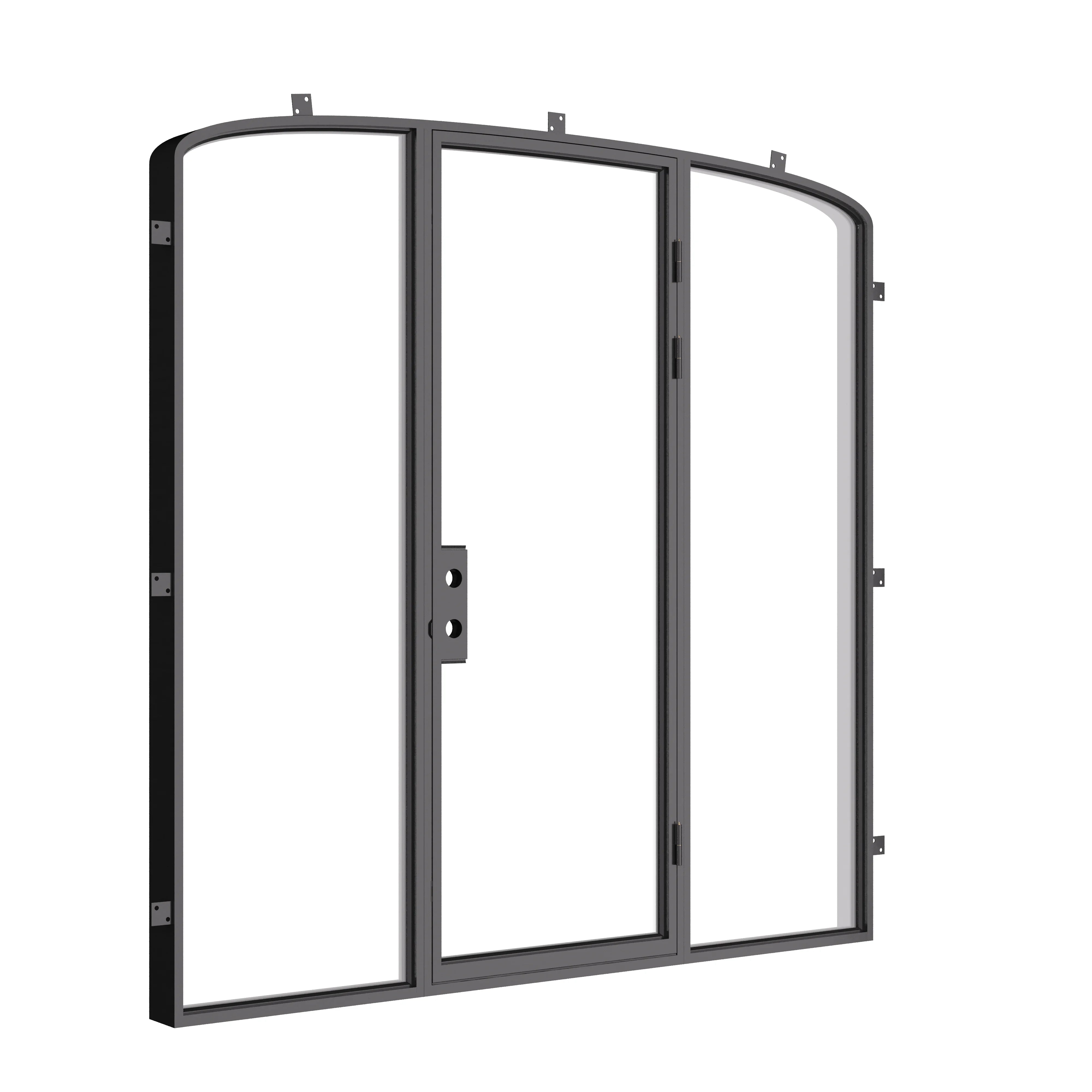 Architectural mini arch steel door with sidelights.