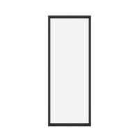 Clear glass exterior steel bolt-through sidelight on white background