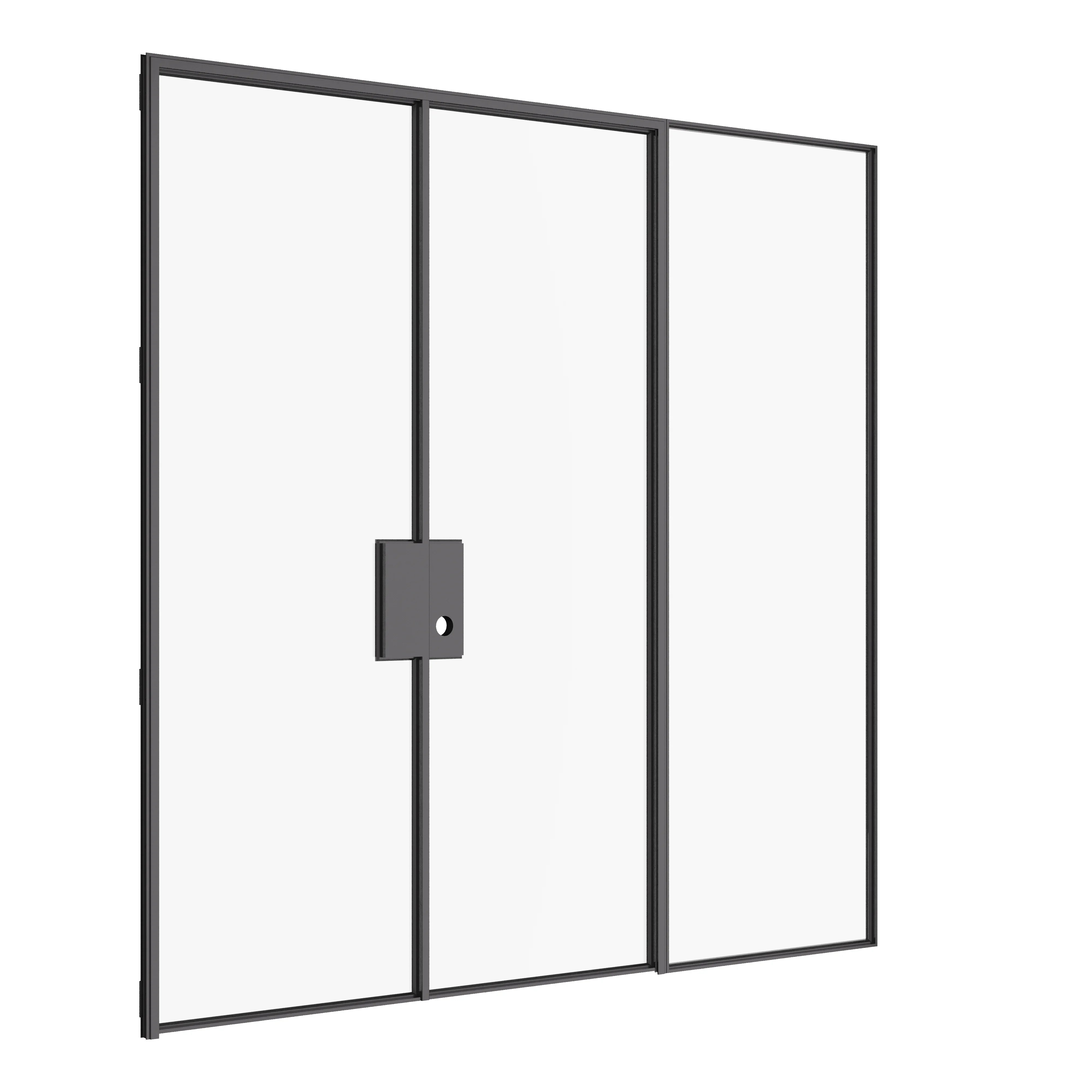 Architectural double flat steel door with single sidelight and narrow steel frame.