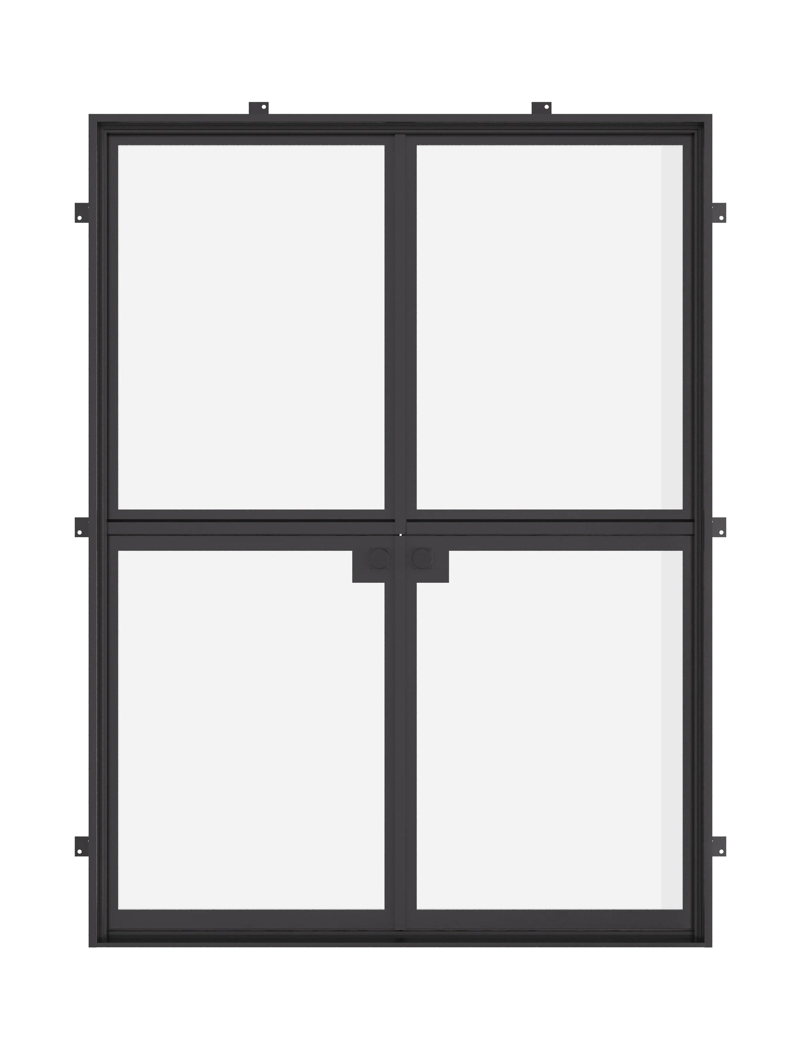 Double flat Dutch steel doors with narrow sightlines and glazing.