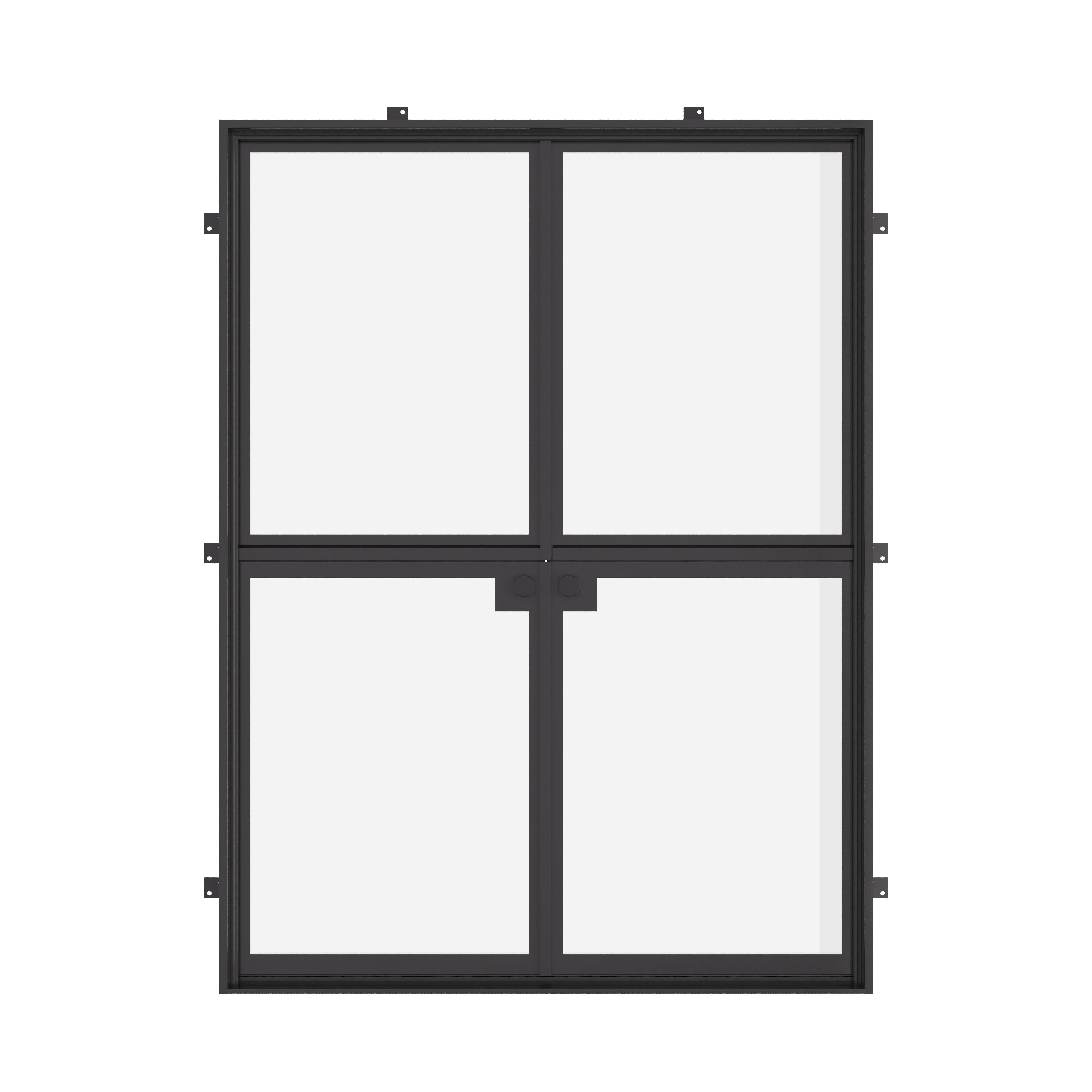 Double flat Dutch steel doors with narrow sightlines and glazing.