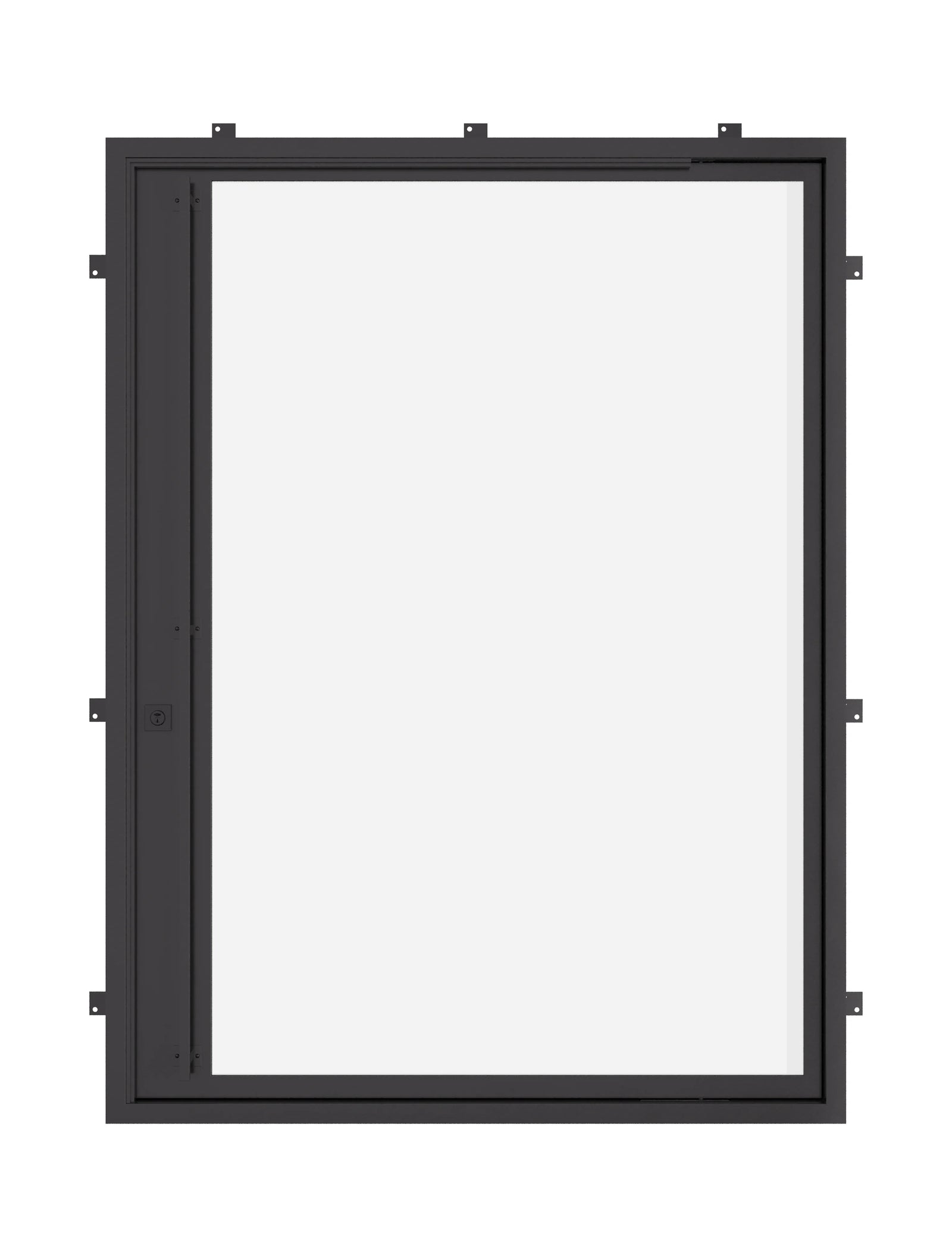 Flat pivot steel door with minimalist architectural detailing.