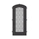 DNA' Door with Thermal Break - Single Arch | Standard Sizes by Pinky’s Iron Doors — home doors, view 1