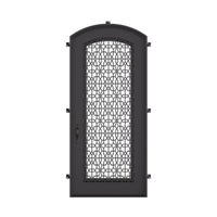 DNA' Door with Thermal Break - Single Arch by Pinky’s Iron Doors — home doors, view 1
