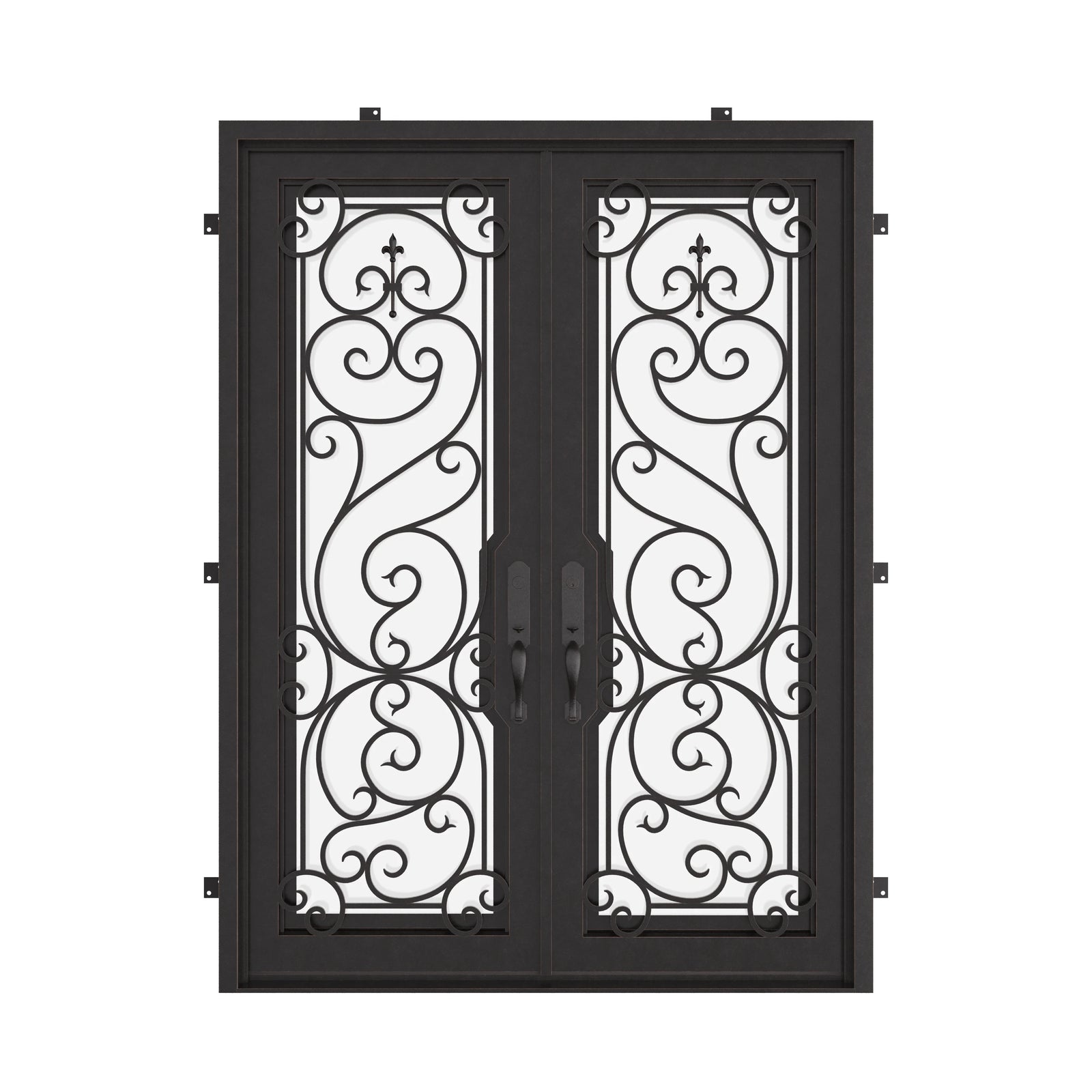 Hills black exterior wrought iron double flat entry door with glass.