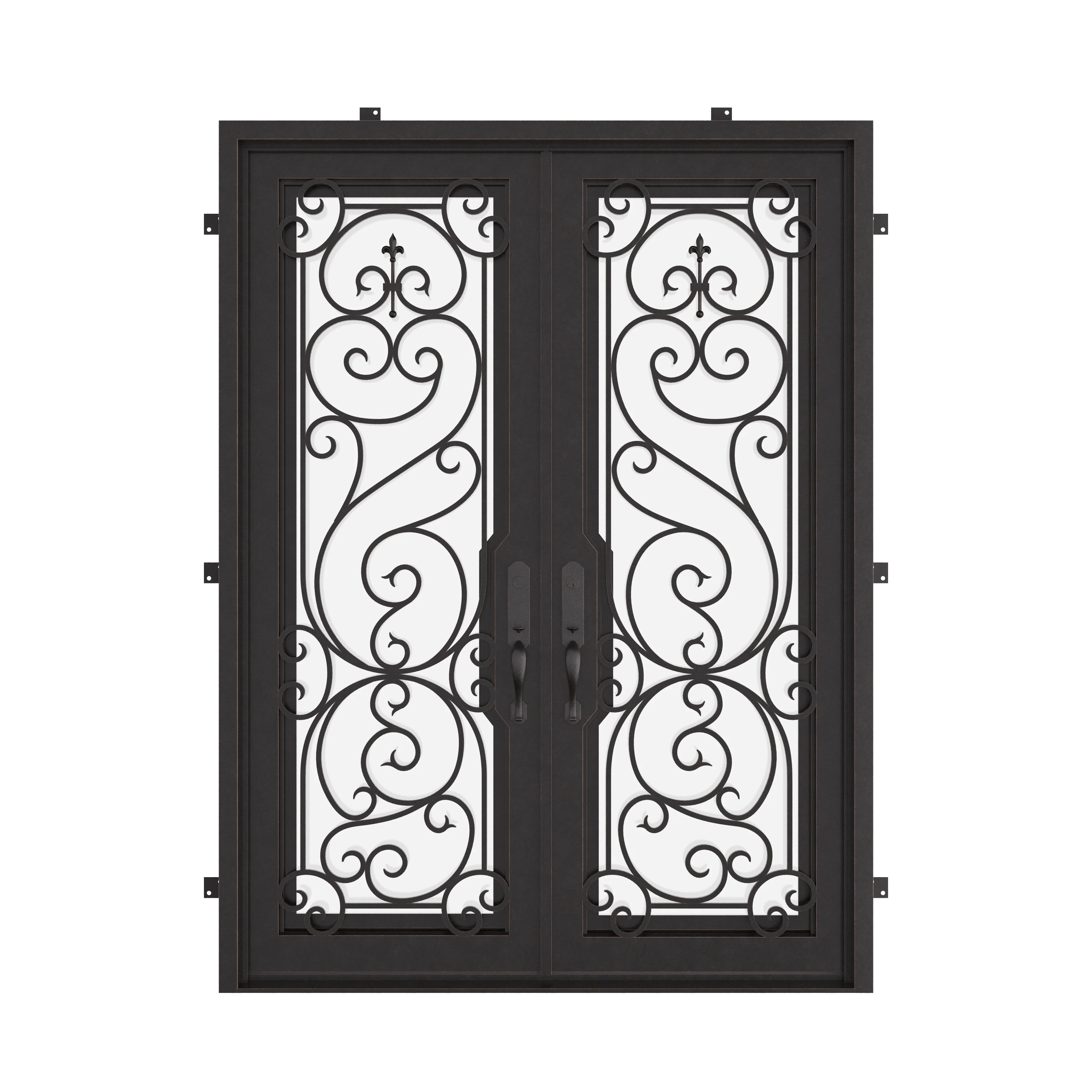 Hills black exterior wrought iron double flat entry door with glass.