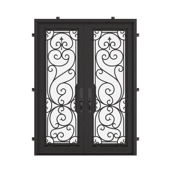 Hills black exterior wrought iron double flat entry door with glass.