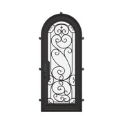 Hills bronze color architectural iron single full arch door with dual-pane glass.