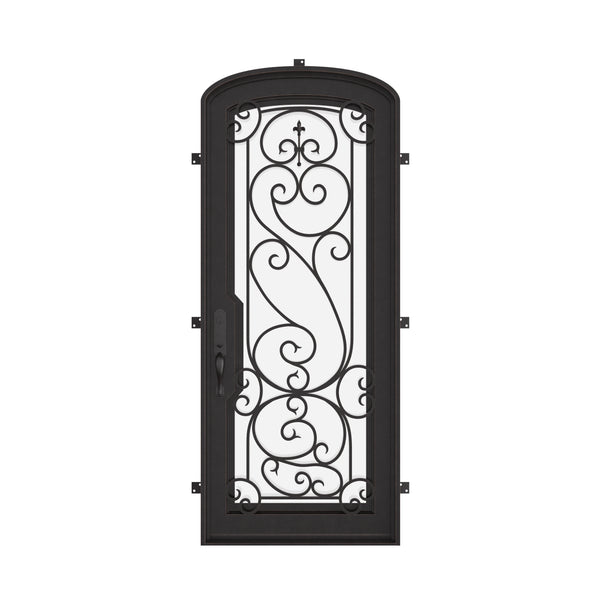 Hills bronze color exterior iron mini arch top single door with dual-pane glass.