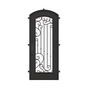 Paris bronze color exterior metal arch top door with ornate scrollwork and glass.