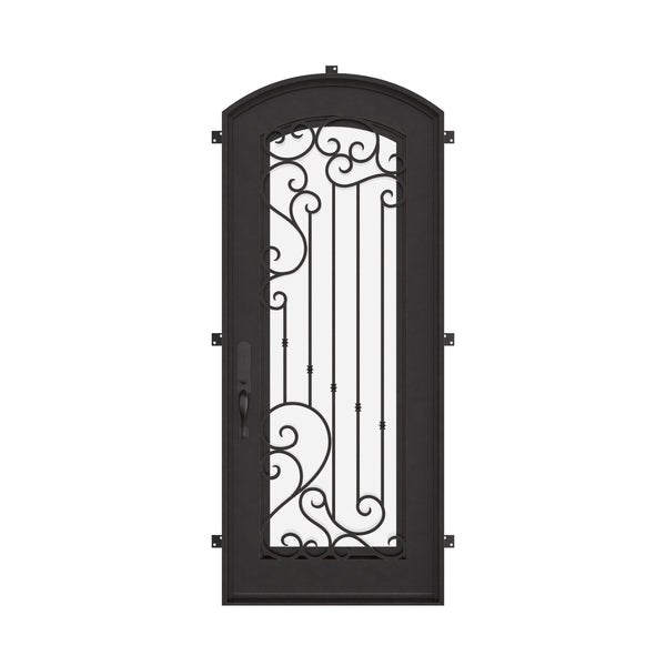 Paris bronze color exterior metal arch top door with ornate scrollwork and glass.