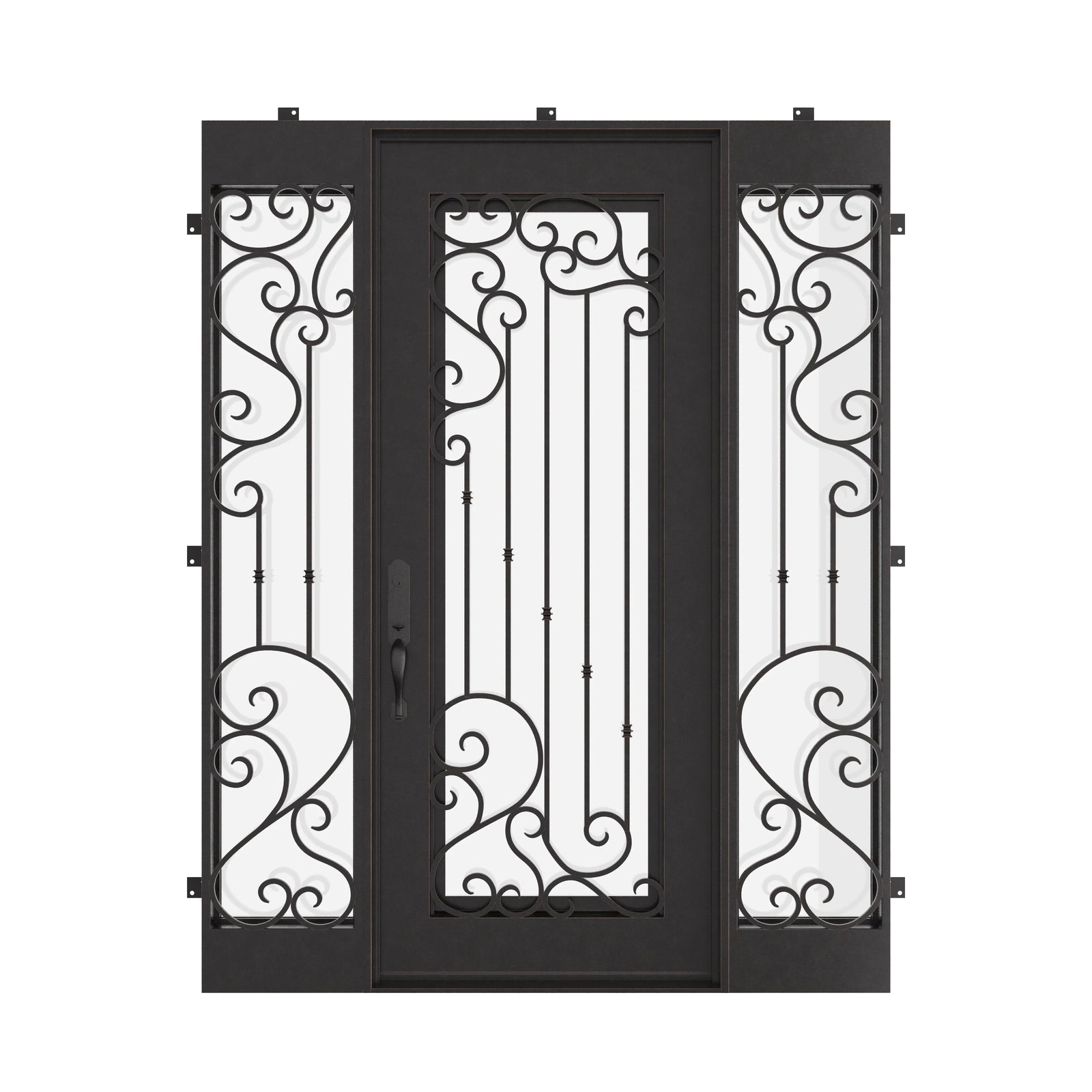 Paris metal swing door with operable dual-pane glass and sidelights.