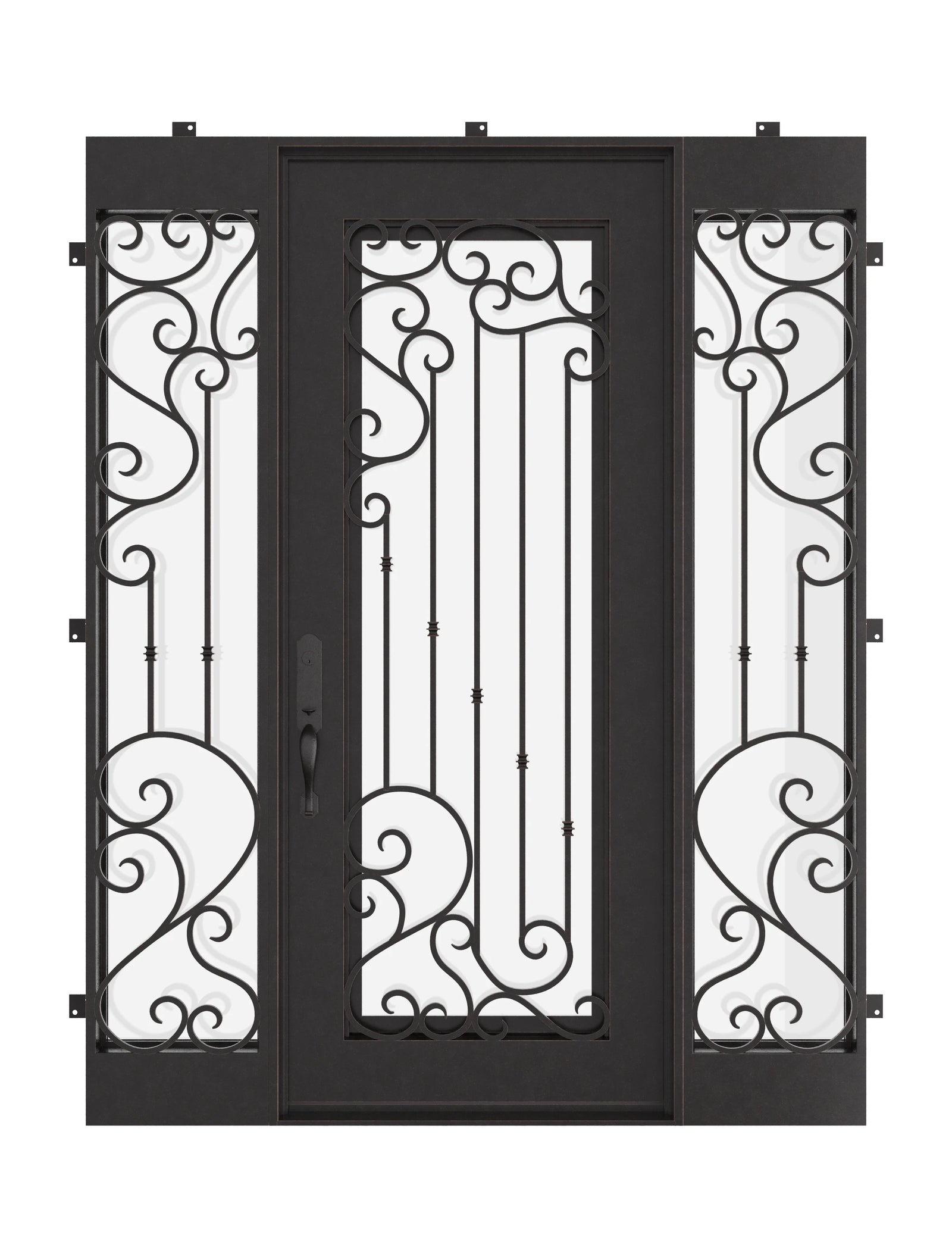 Paris metal swing door with operable dual-pane glass and sidelights.