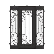 Paris wrought iron single door with sidelights with flat top and tempered glass.