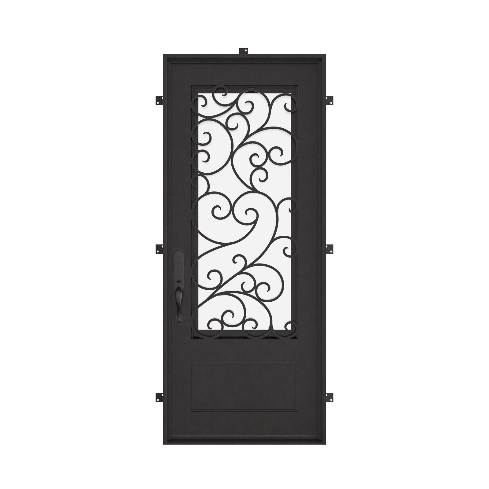 Story Single flat top entry door with double-pane glass and iron accents.