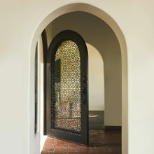 Load image into Gallery viewer, DNA&#39; Door - Single Full Arch | Standard Sizes