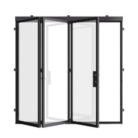 Air Lite - Bi-Fold by Pinky’s Iron Doors — home doors, view 3