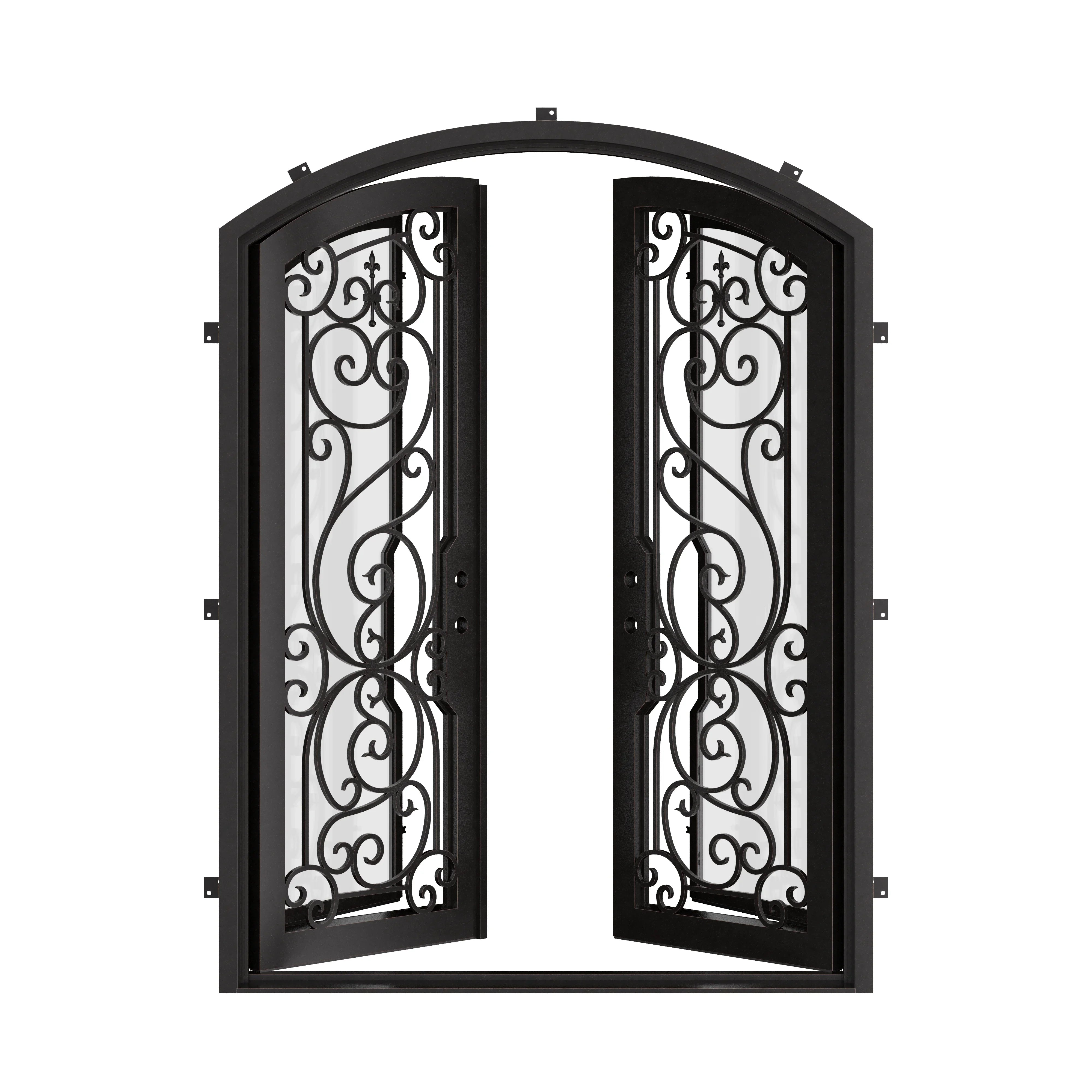 Hills entry door in bronze finish with arch top.