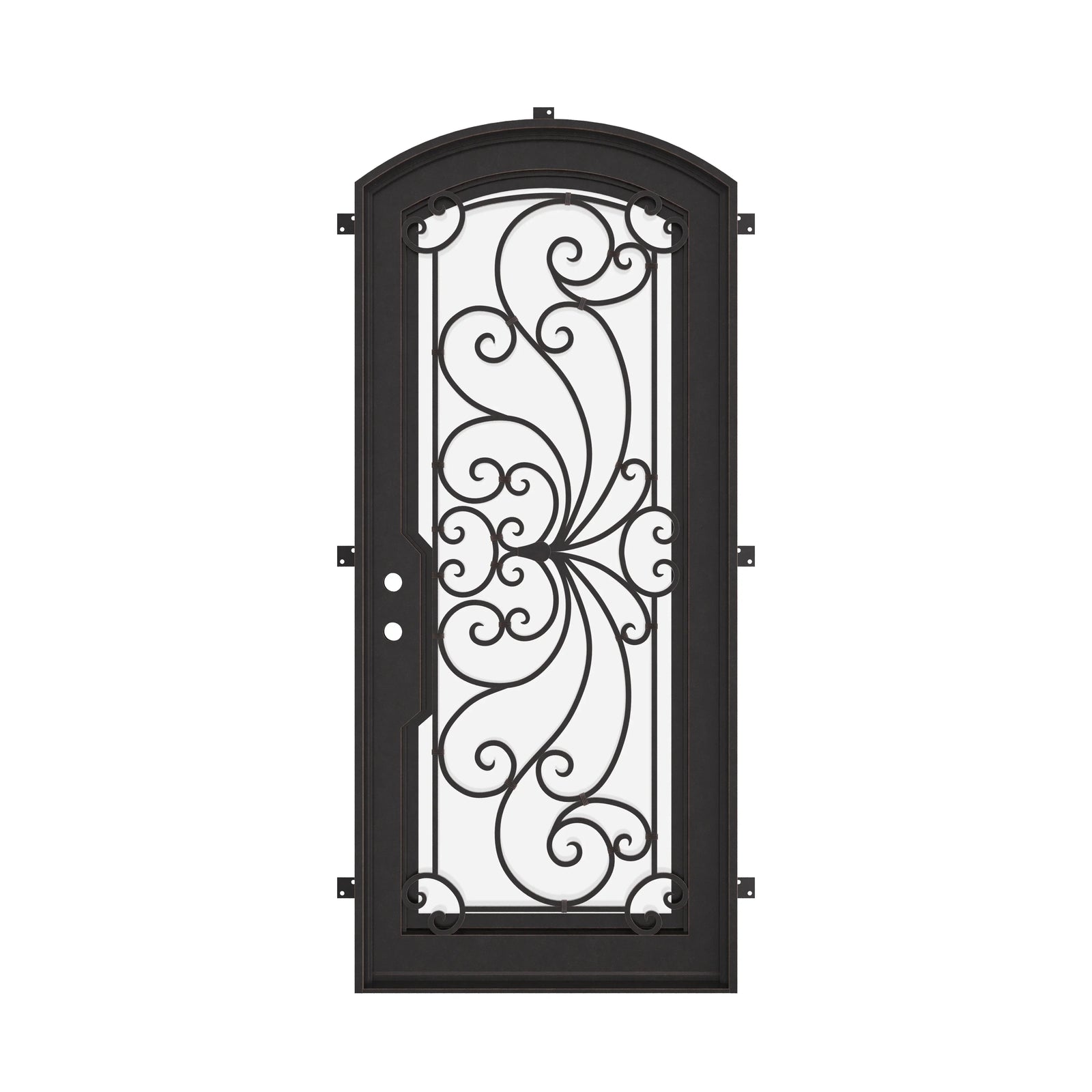 Miracle black iron eyebrow arch top door with dual-pane glass in black.