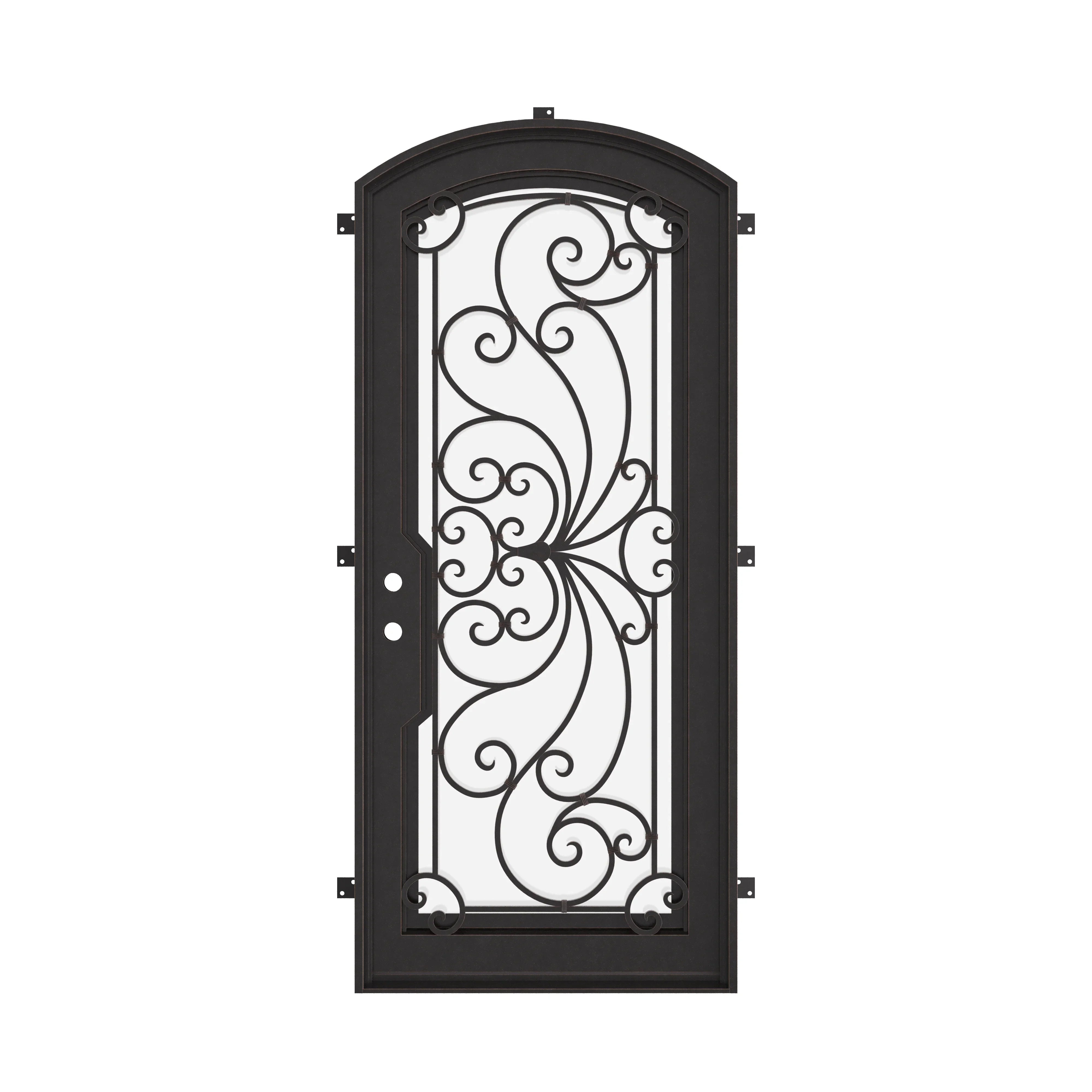 Miracle black iron eyebrow arch top door with dual-pane glass in black.