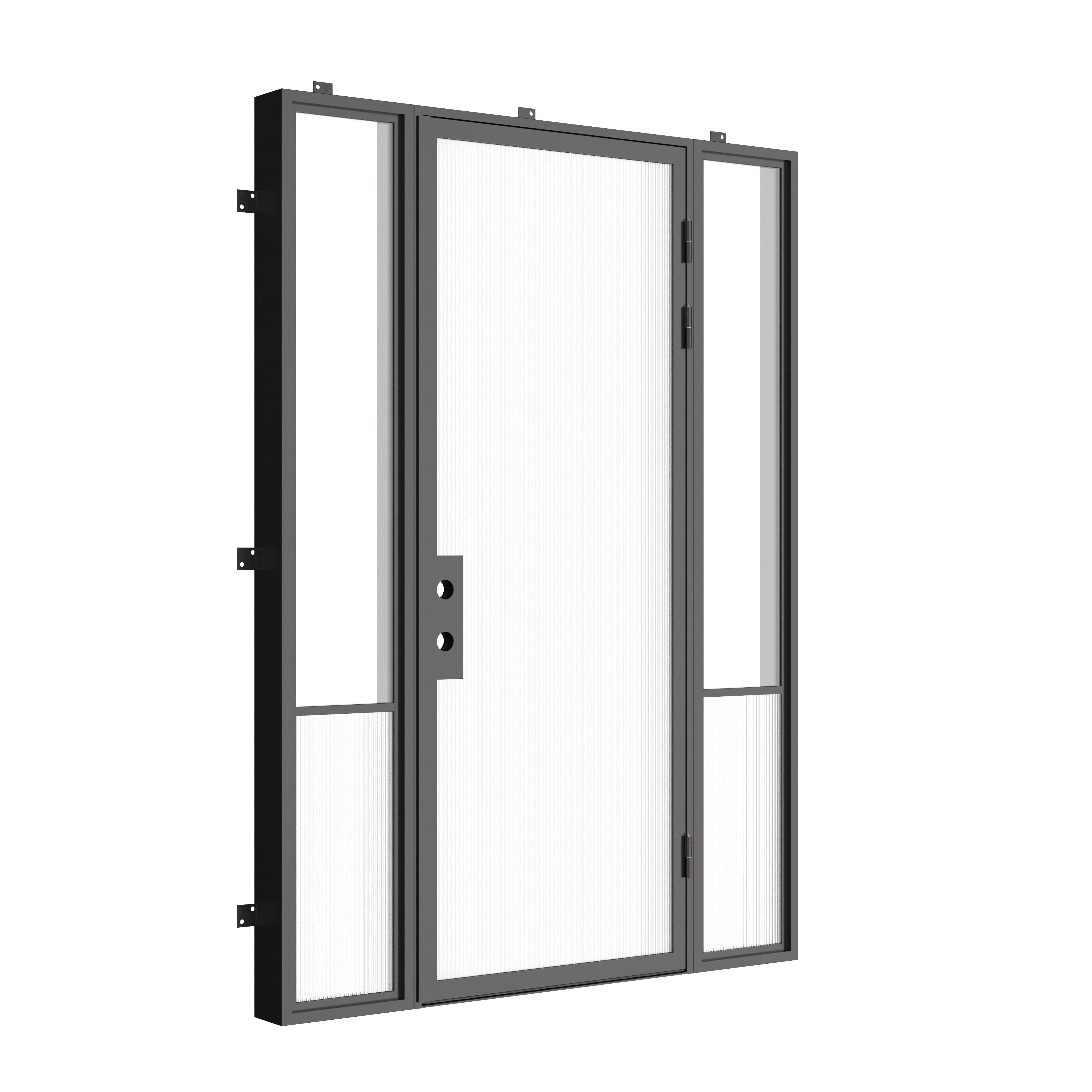 Designer steel entry door with side windows, Air Grand architectural steel system with Low-E tempered glazing