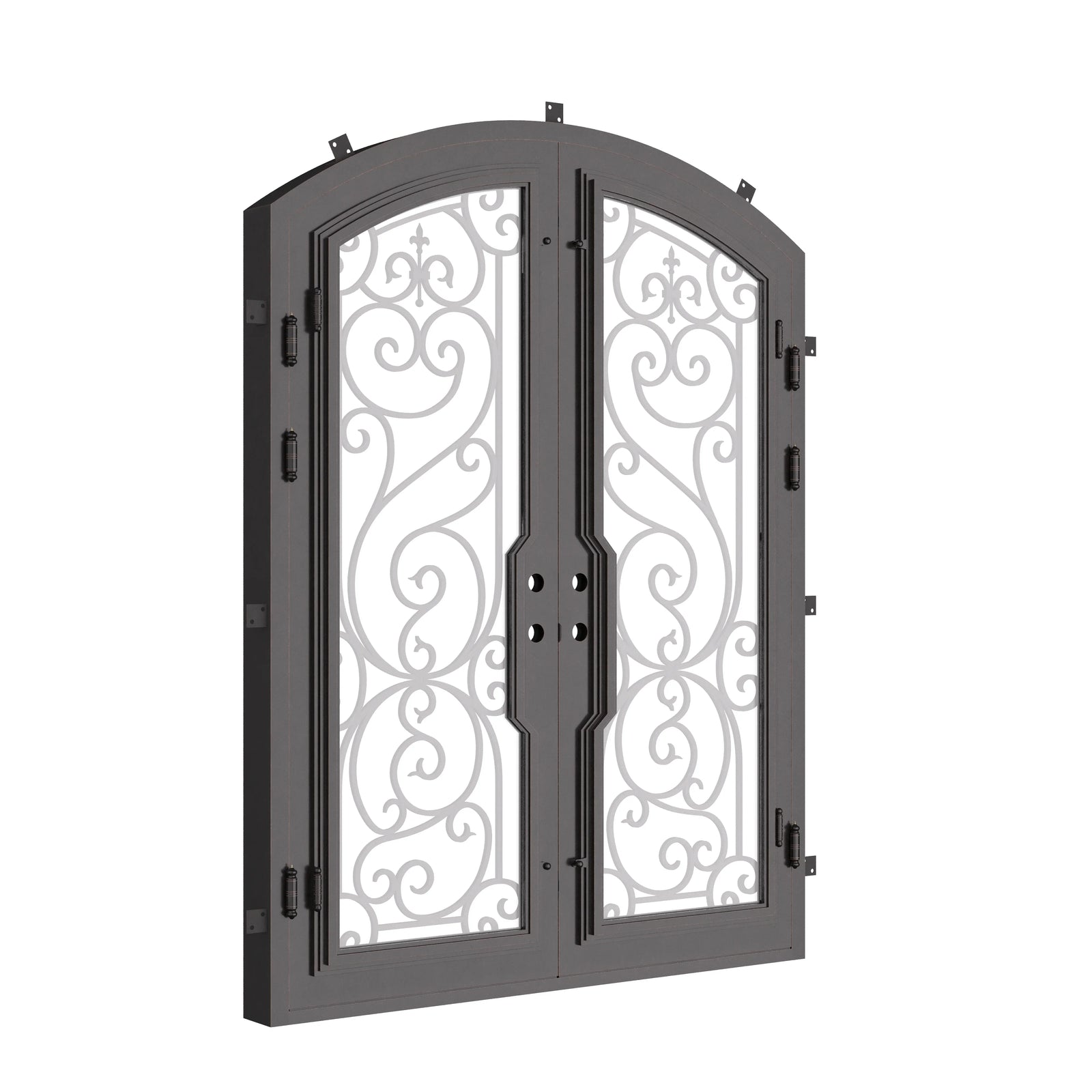 Hills black colored arch top door with glass and thermal break.