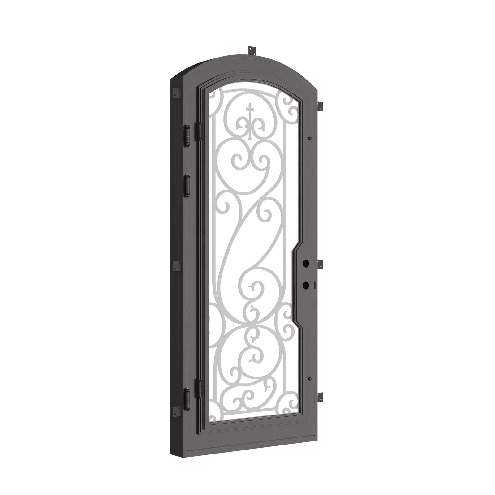 Hills pre-hung black metal single arch top door with energy efficient dual-pane glass.
