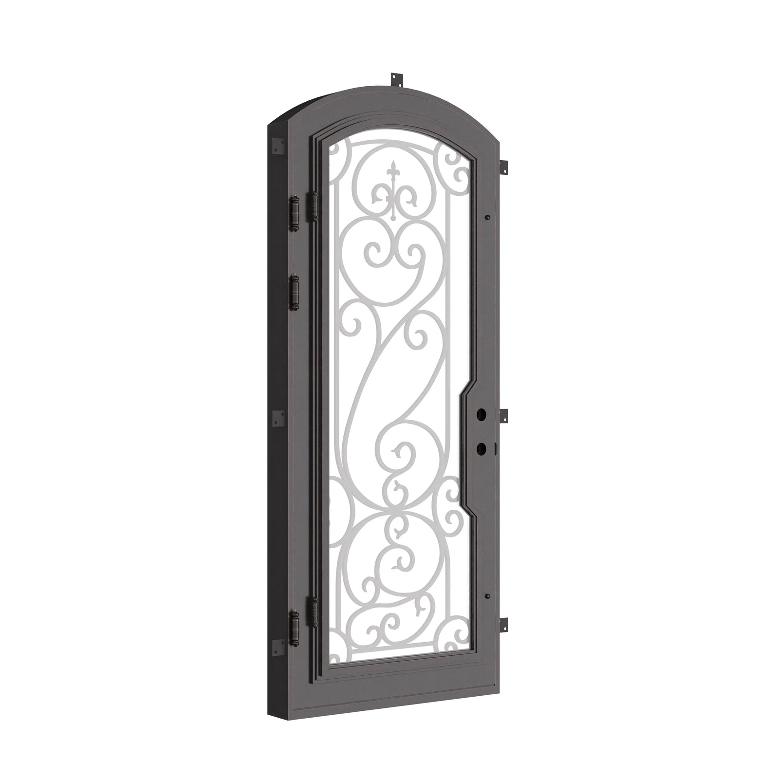 Hills single arch top single swing door with tempered glass and ironwork.