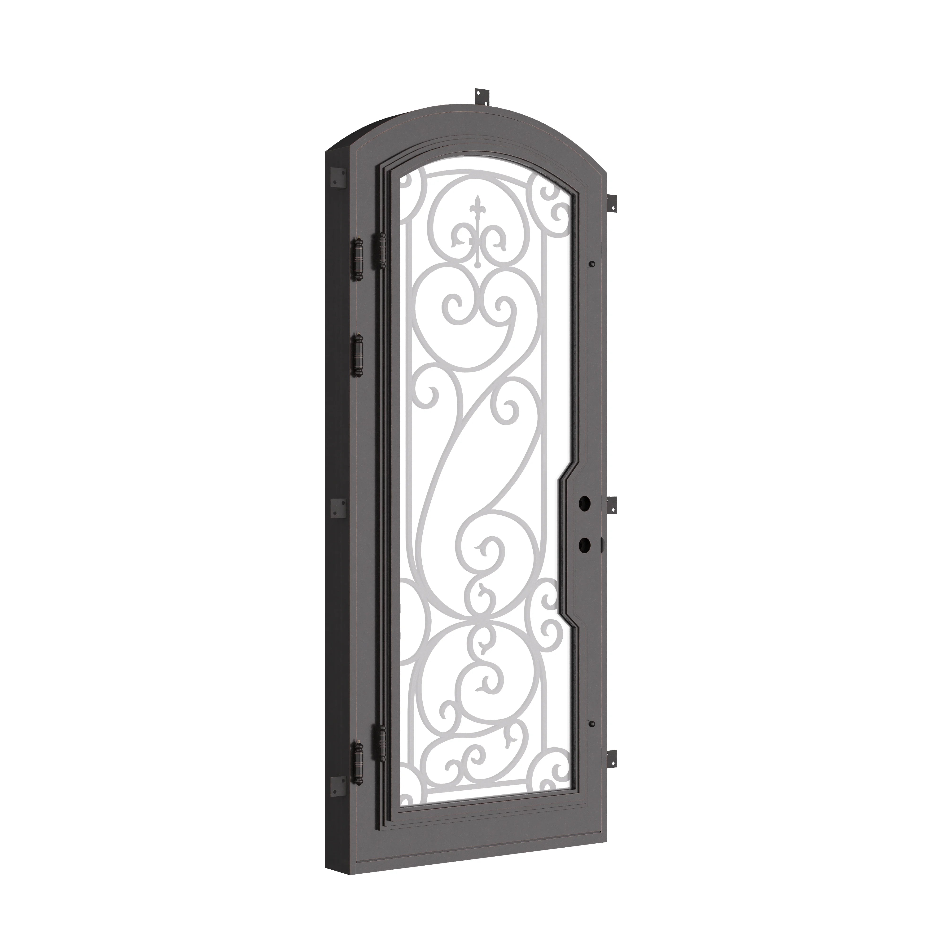 Hills single arch top single swing door with tempered glass and ironwork.