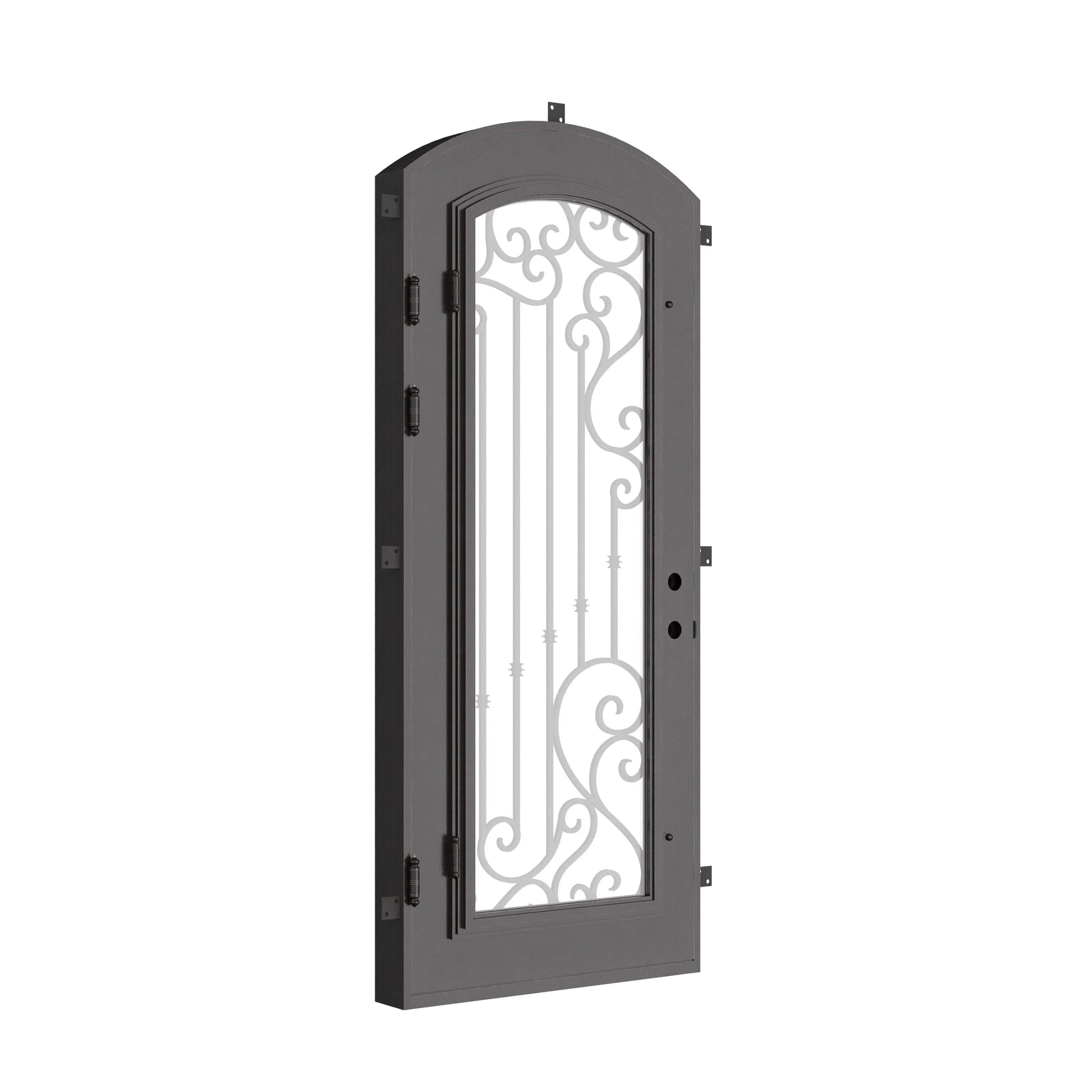 Paris single arch top entry door with thick glass and ornate metalwork in black.