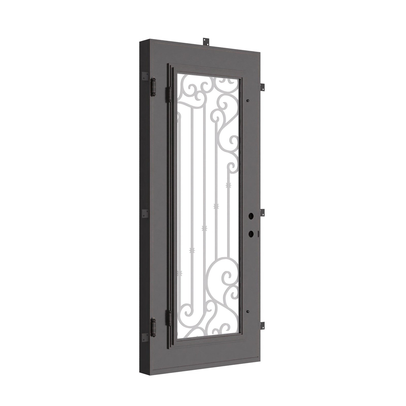 Paris single flat metal exterior door for cold weather in black.
