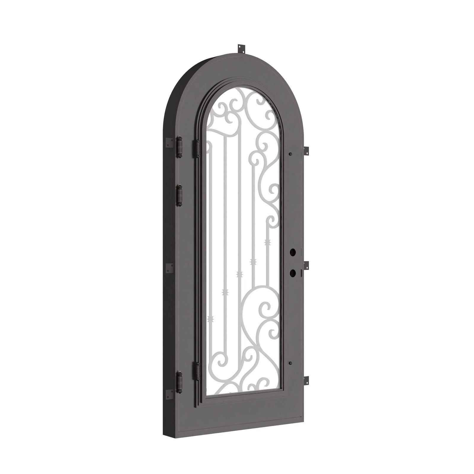 Paris bronze color cold rolled metal single full arch door with energy efficient glass.