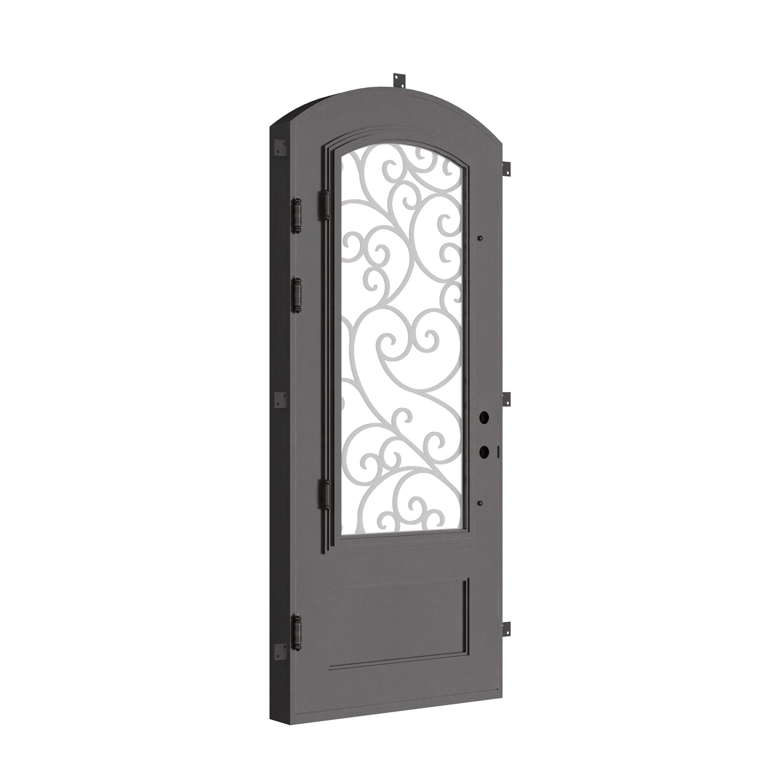Story pre-hung black wrought iron arch top door with decorative metalwork.