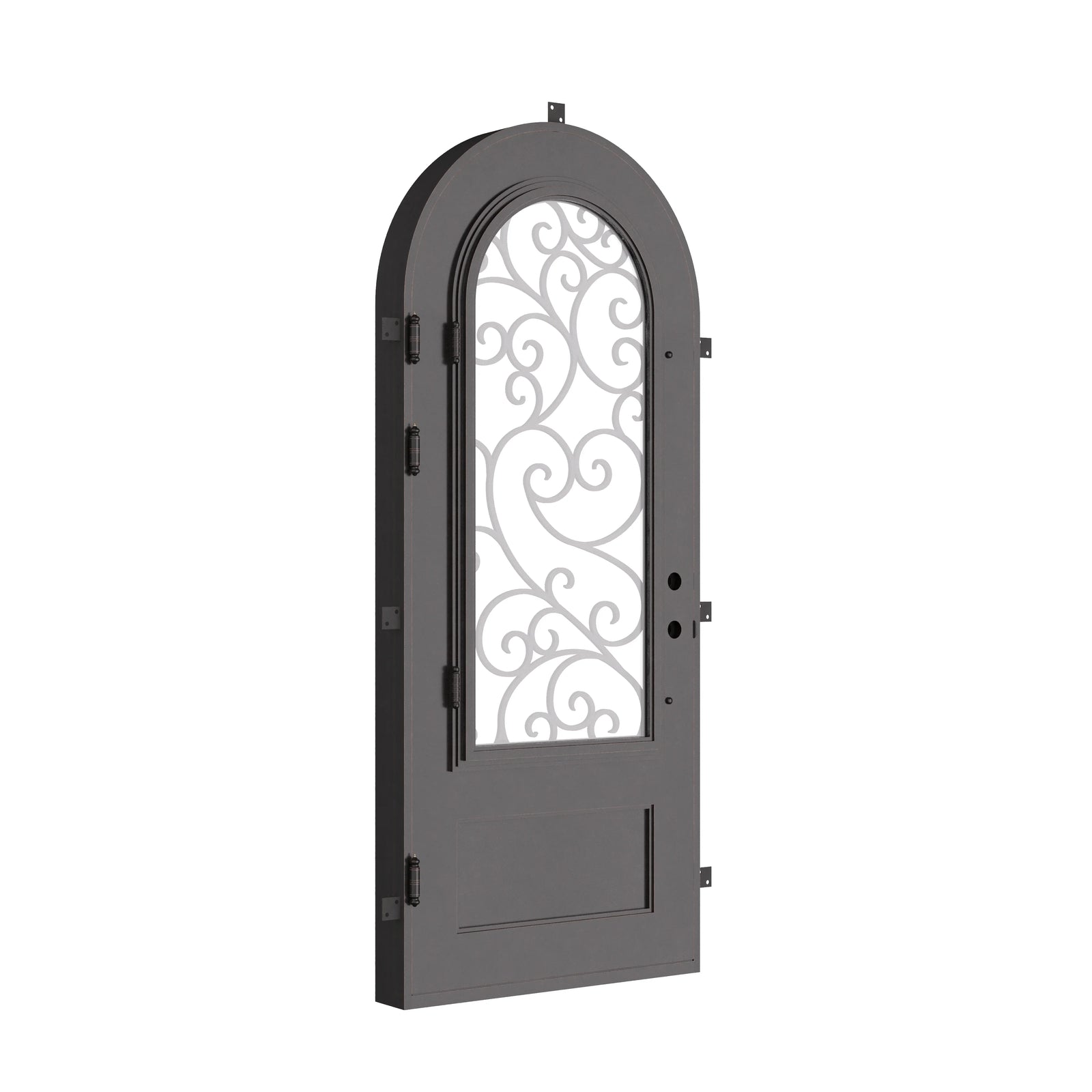 Story black exterior metal single full arch door with thick dual-pane glass.