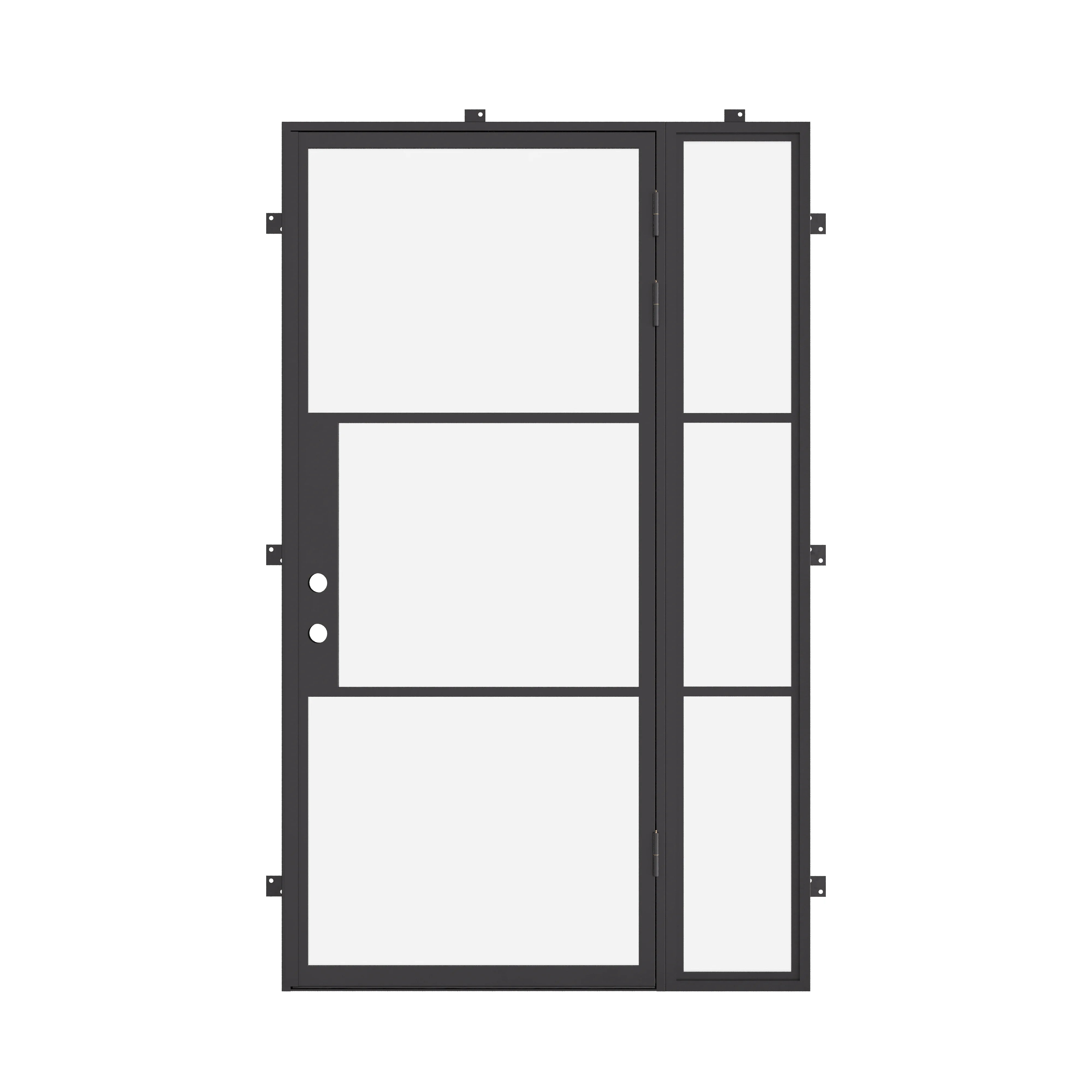 Air 4 steel door with narrow mullions and right sidelight