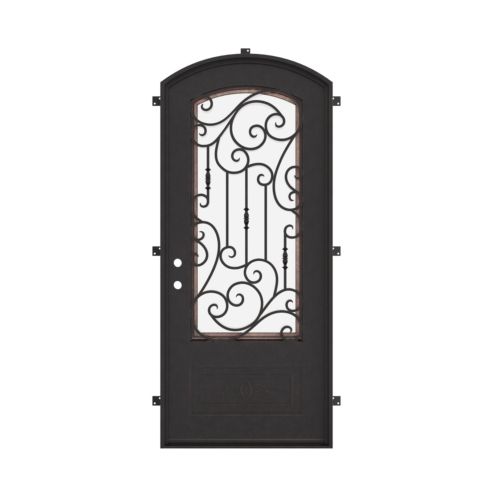 Golden Gate pre-hung black cold rolled metal eyebrow arch top door with tempered glass.