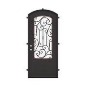 Golden Gate pre-hung black cold rolled metal eyebrow arch top door with tempered glass.