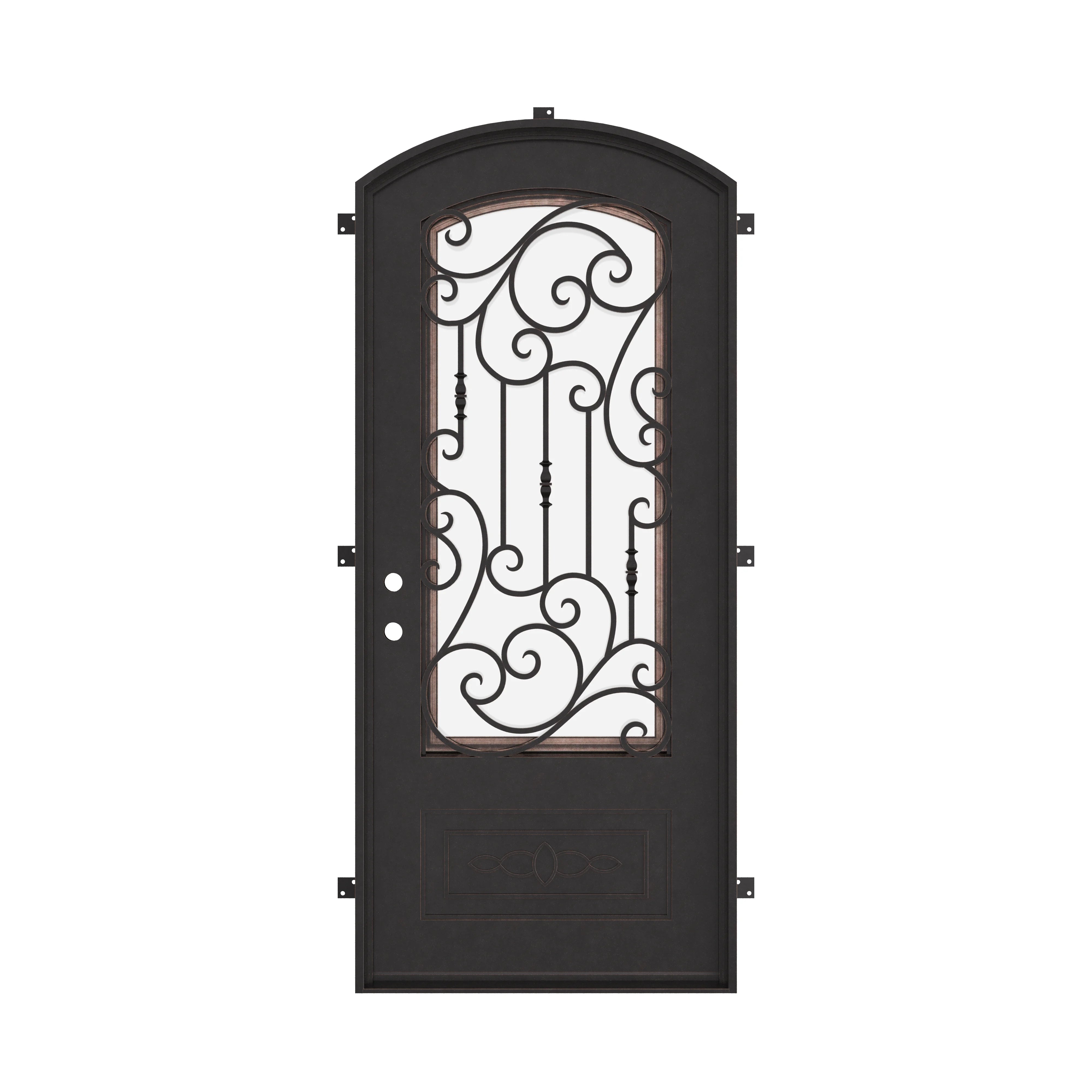 Golden Gate pre-hung black cold rolled metal eyebrow arch top door with tempered glass.