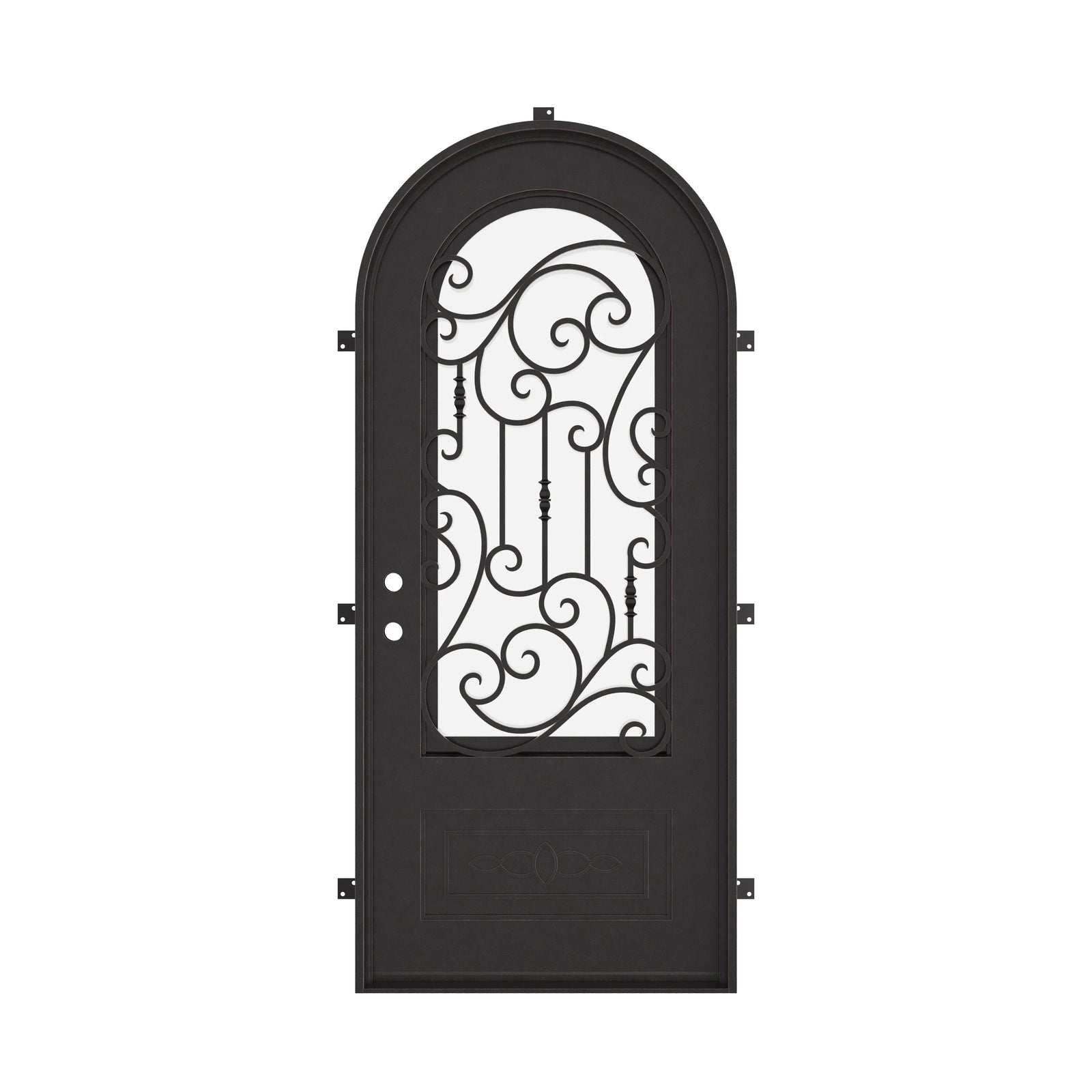 Golden Gate black exterior metal single radius top entry door with tempered glass.