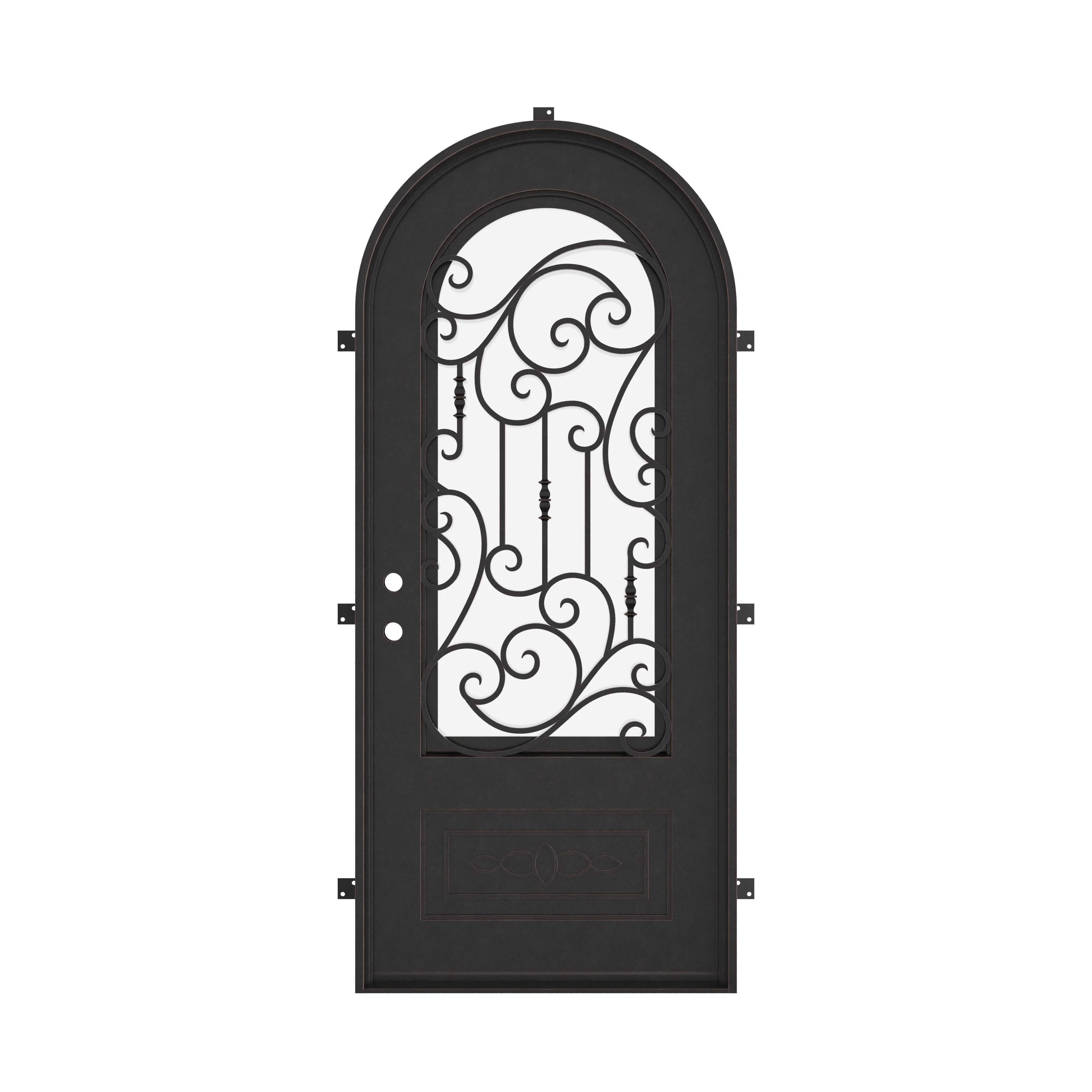Golden Gate black exterior metal single radius top entry door with tempered glass.